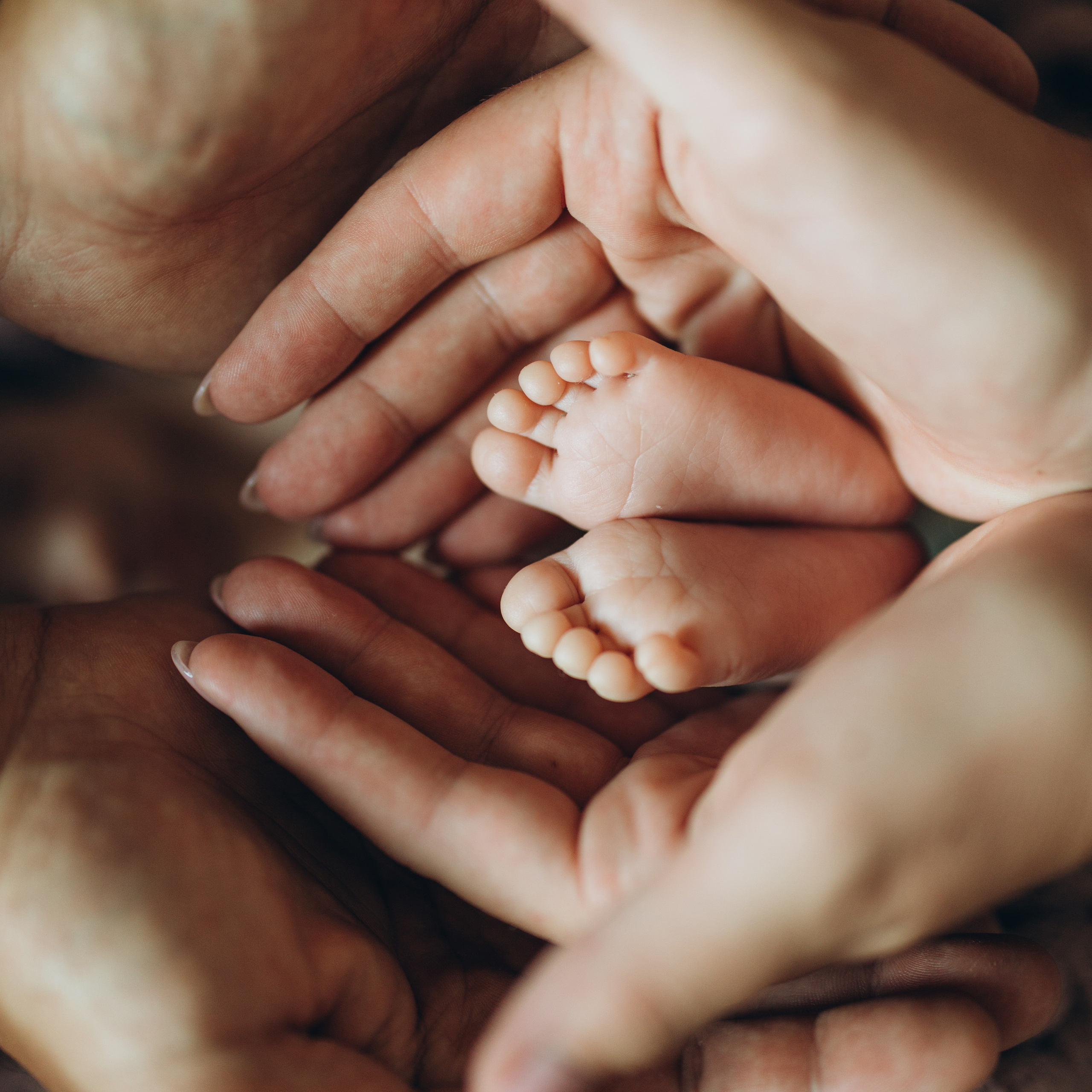 Reviews. Wedding Photographer Toronto