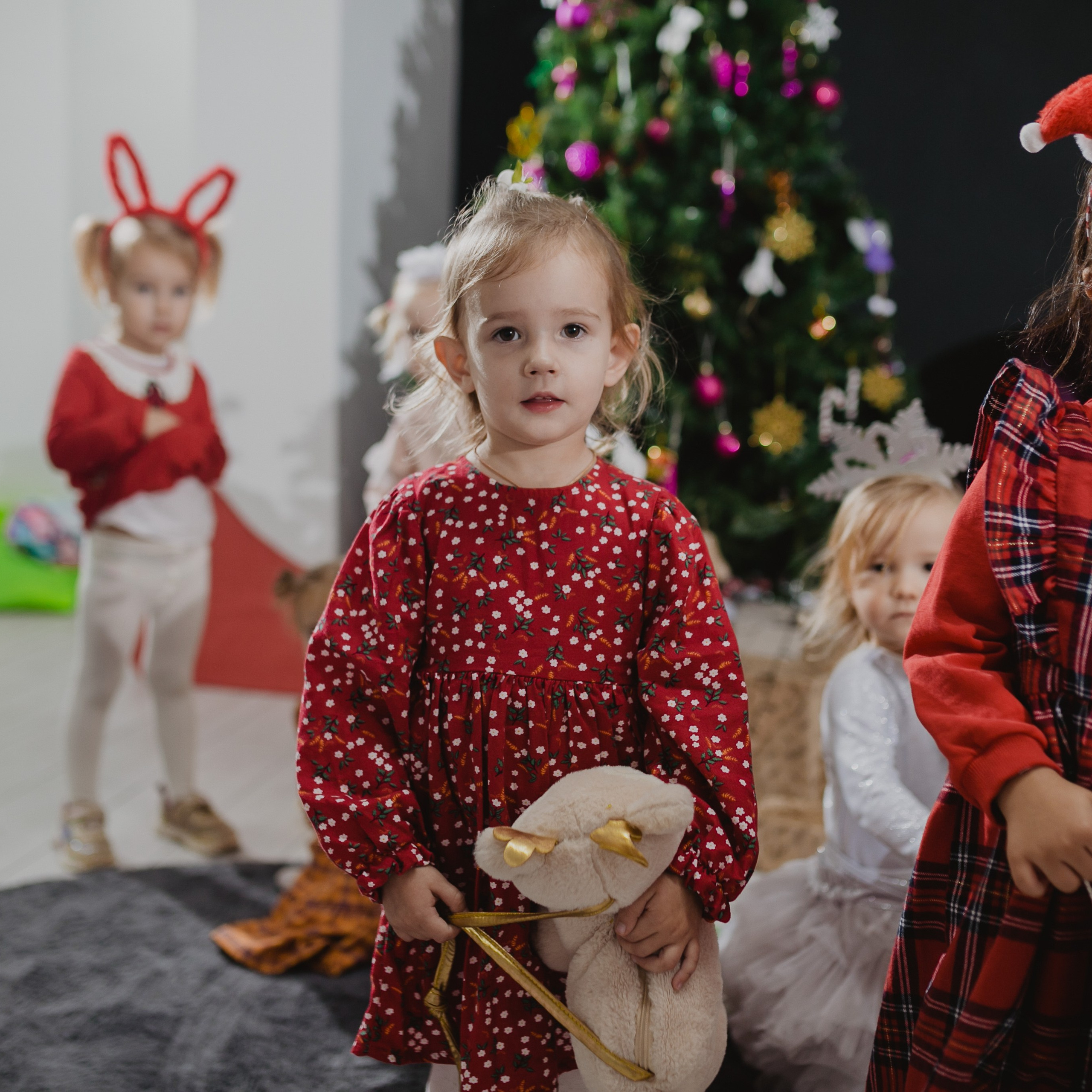 Отзывы. Кара Дмитрий, фотограф Аланья