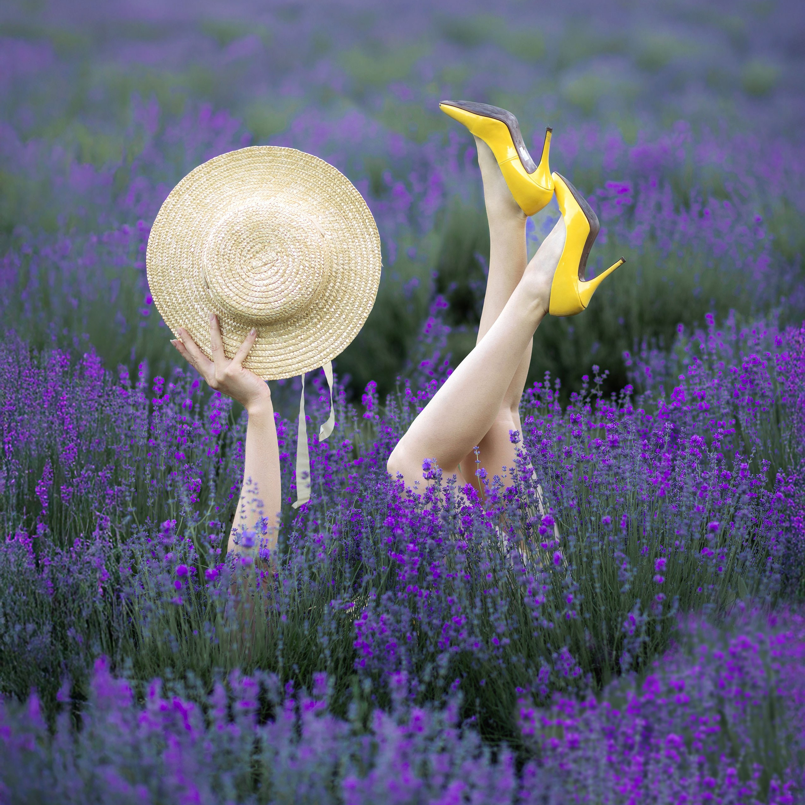 Фотозйомка «Лавандові історії»