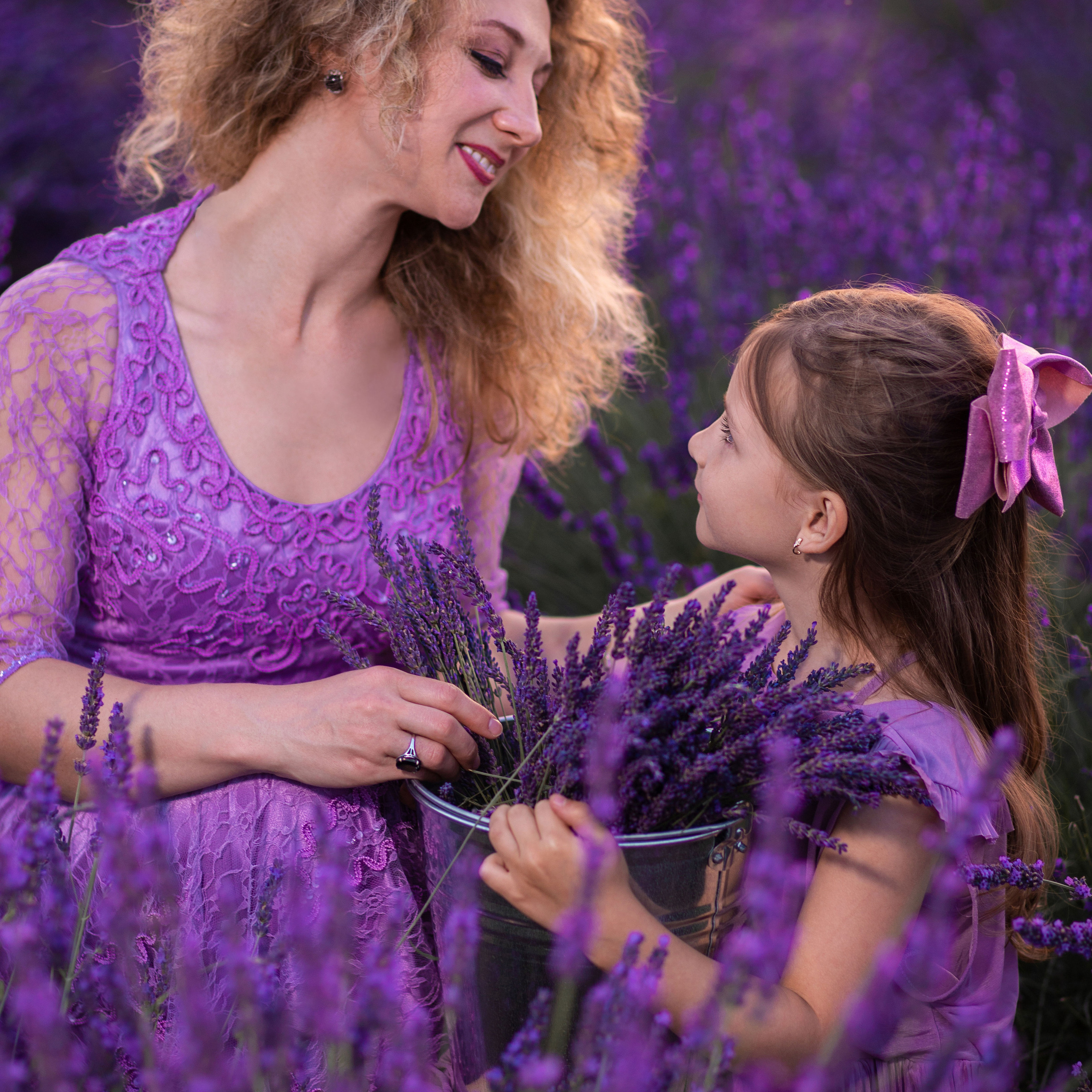 Сімейна фотозйомка в лаванді