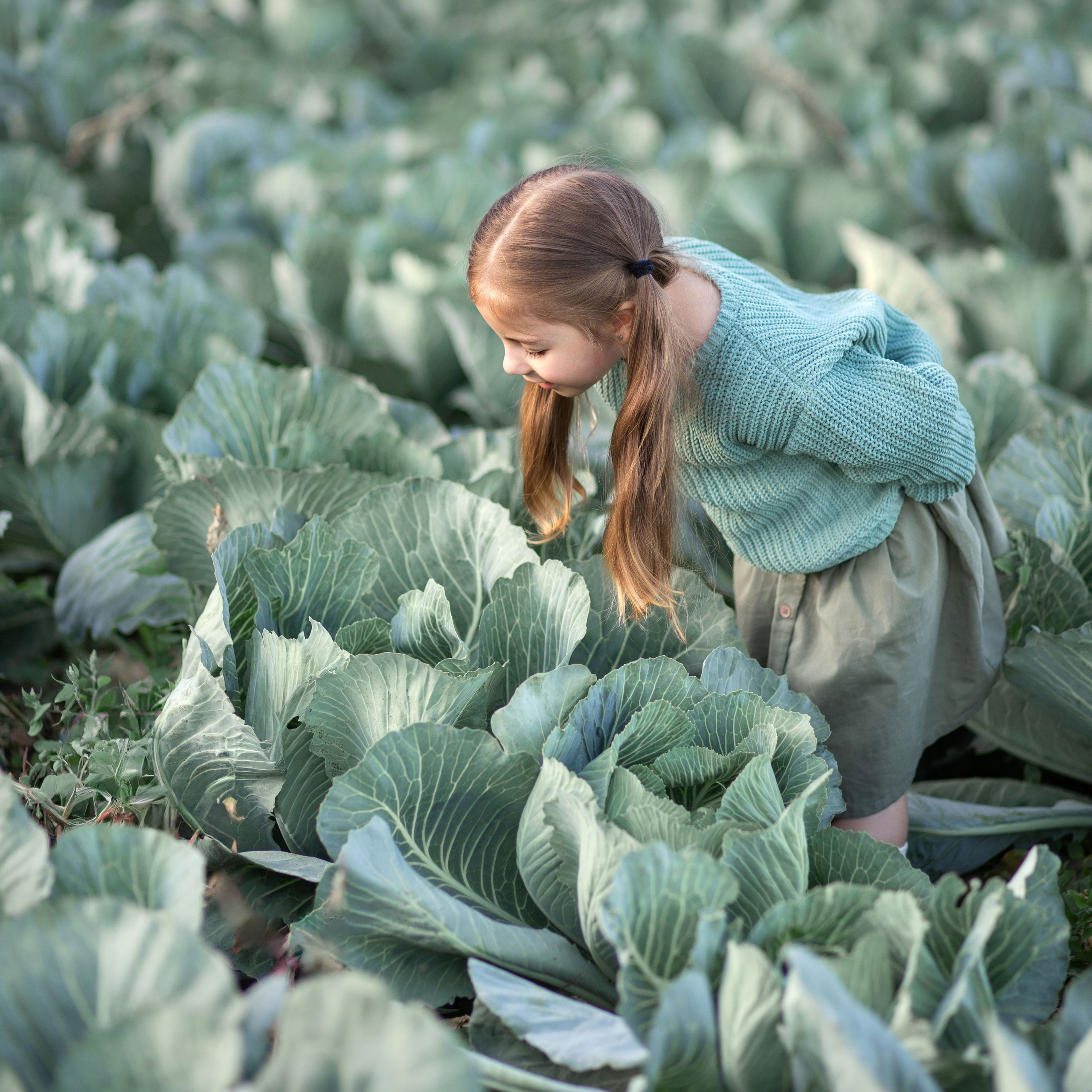 Дитяча фотозйомка в капусті з Машею