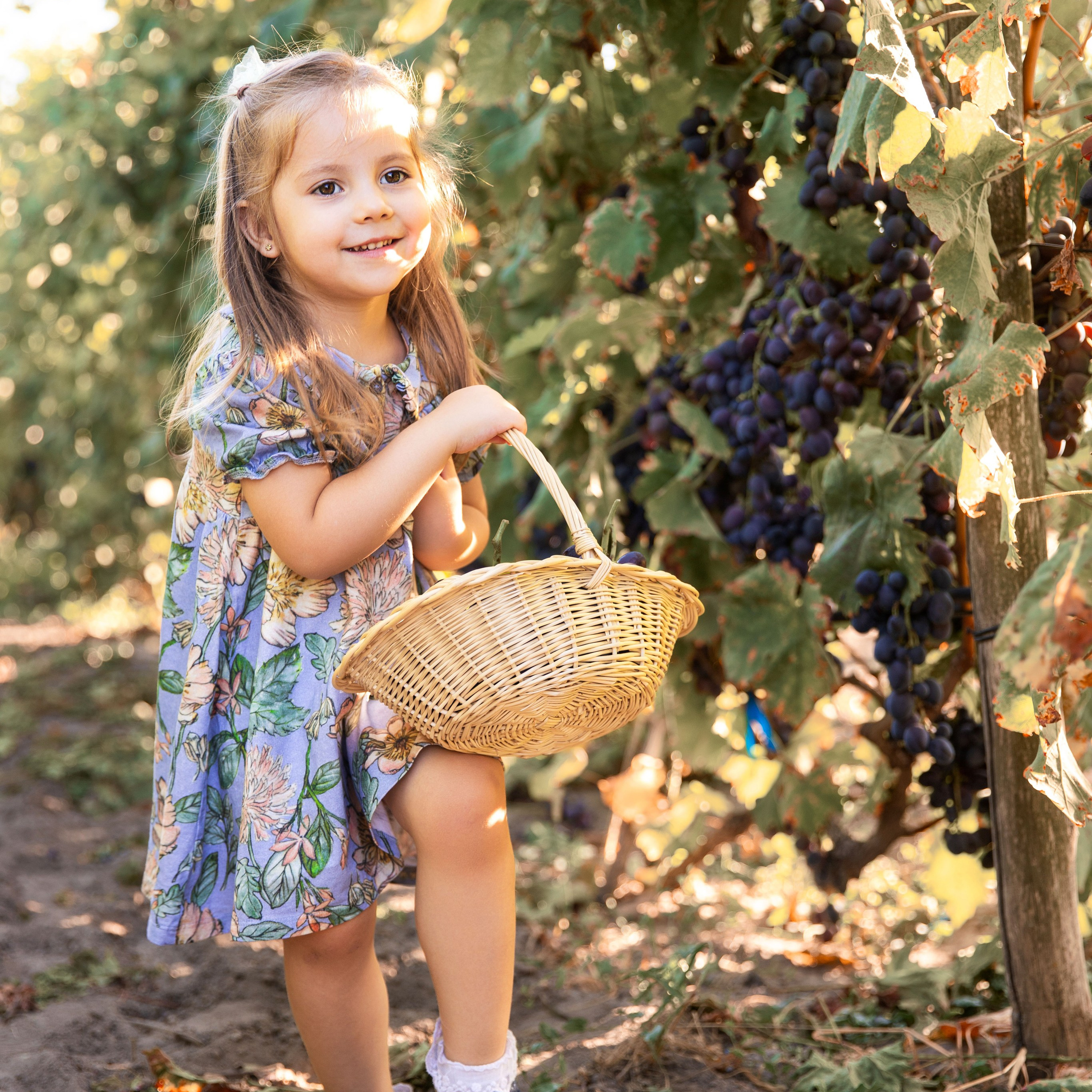 Дитяча фотозйомка в фруктових садах