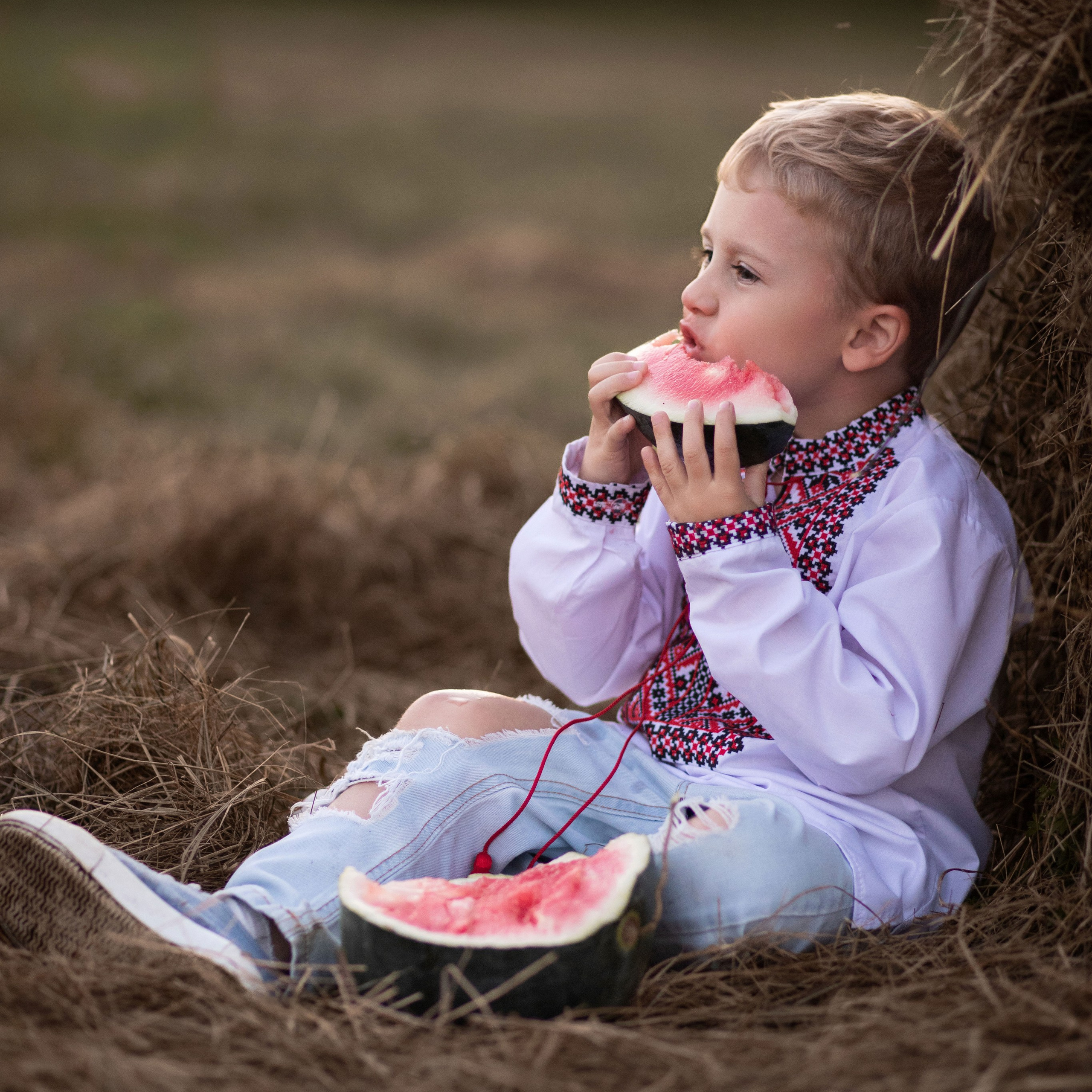 Дитяча зйомка у полі з Гектором