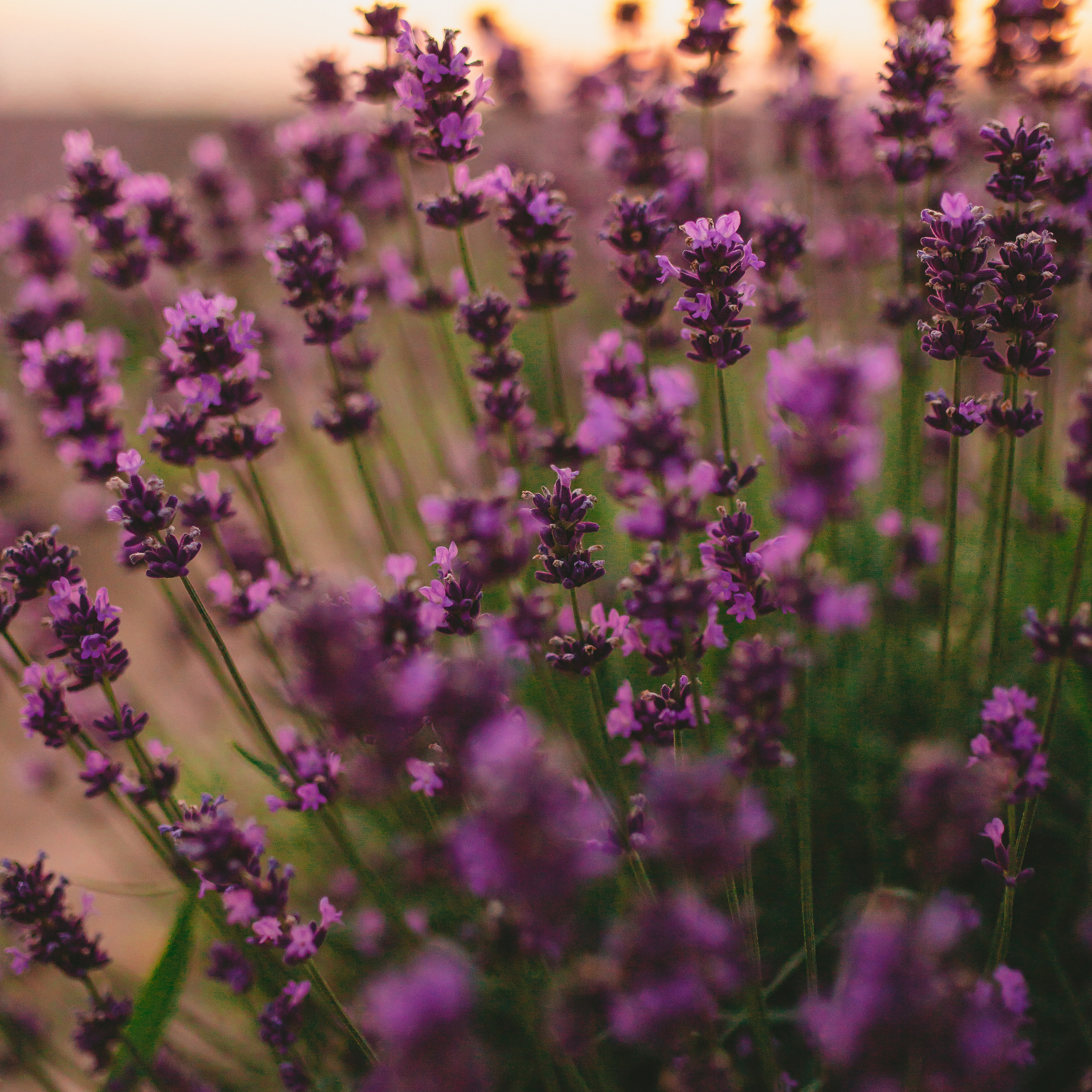 Відгуки. Photographer Stas Bordeniuk