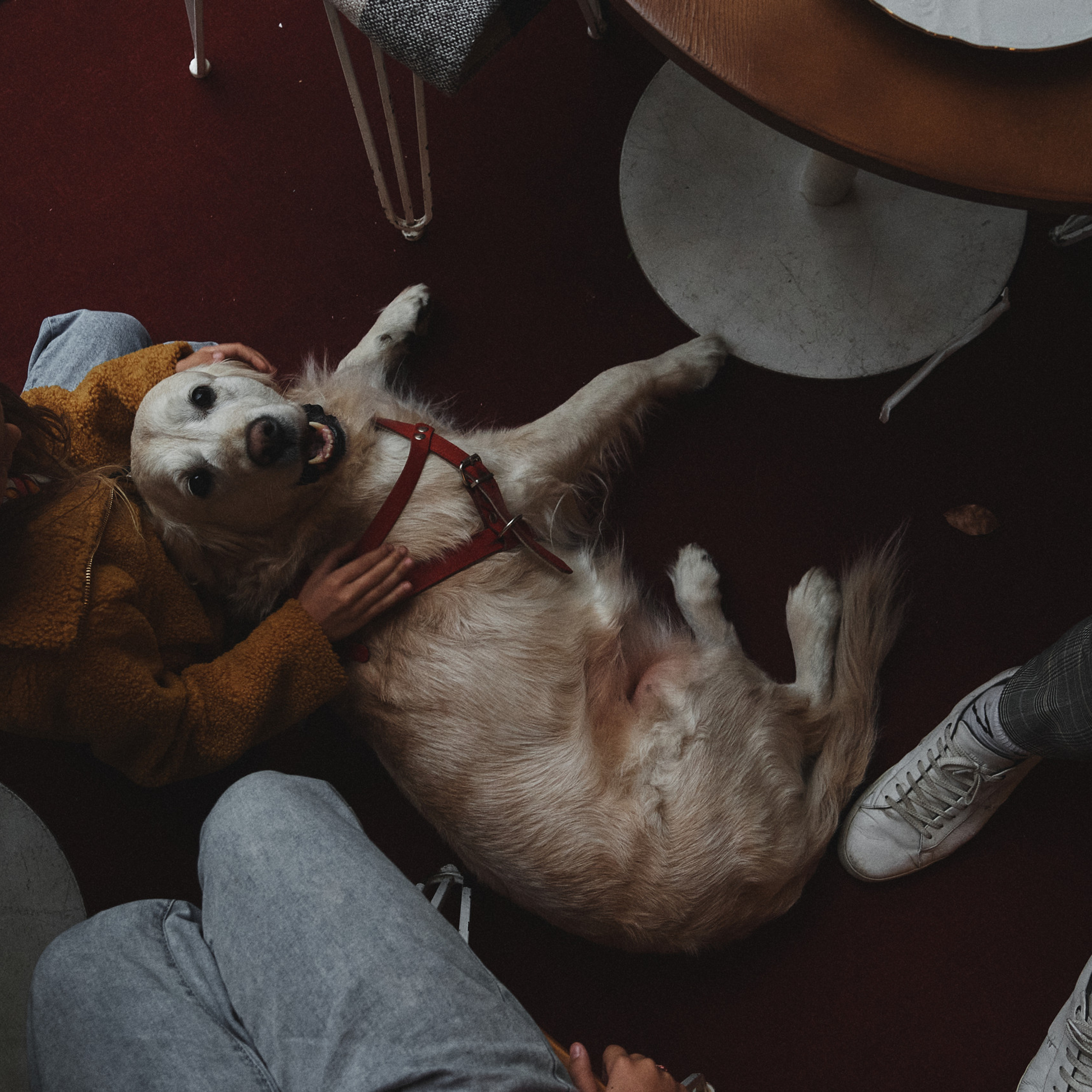 Благодарю за ваш отзыв!. Фотограф Евгений Хиль | Львов Киев Днепр | Eugene Hill | Yevhenii Khil