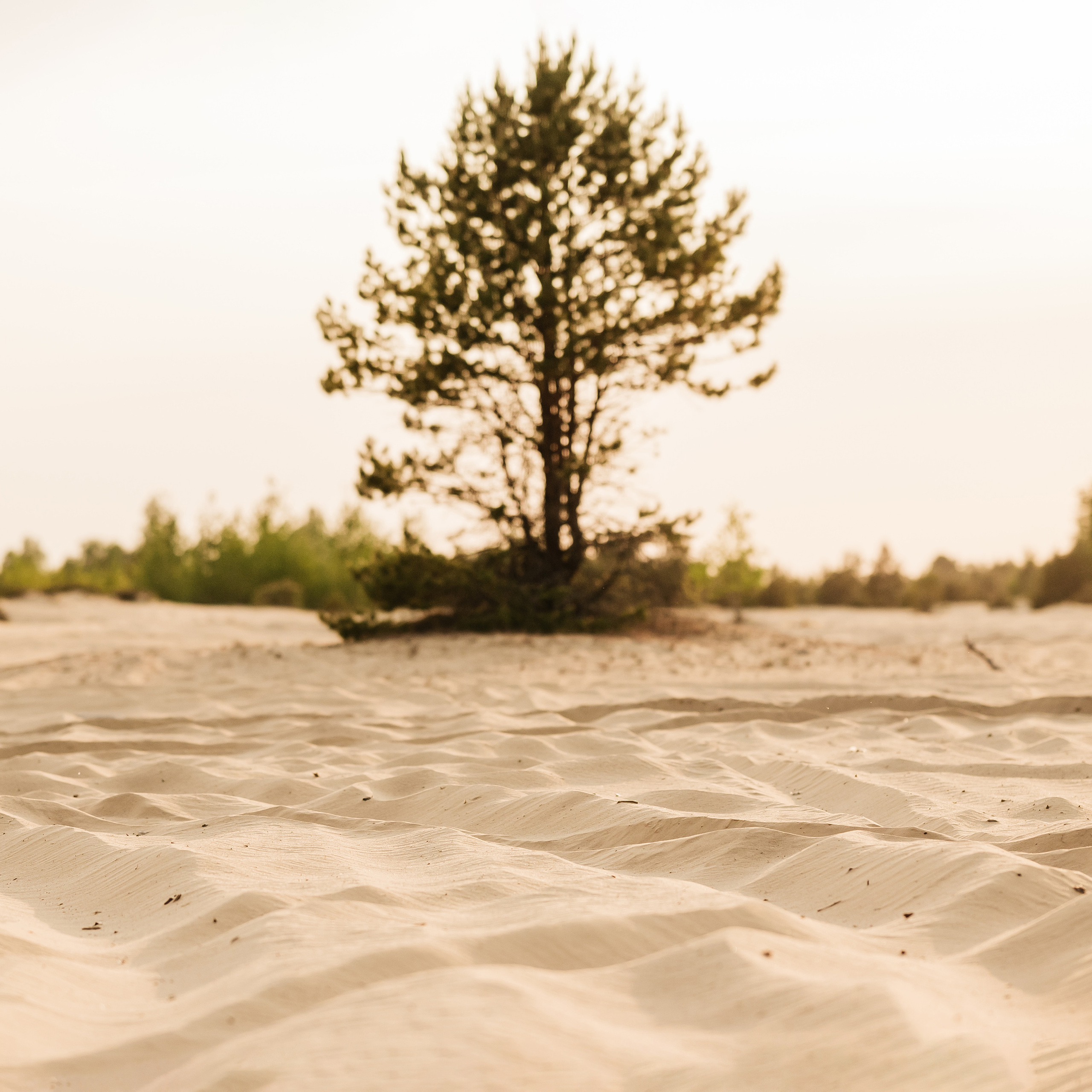 Отзывы. Vestuvių nuotraukos ir video Lietuvoje