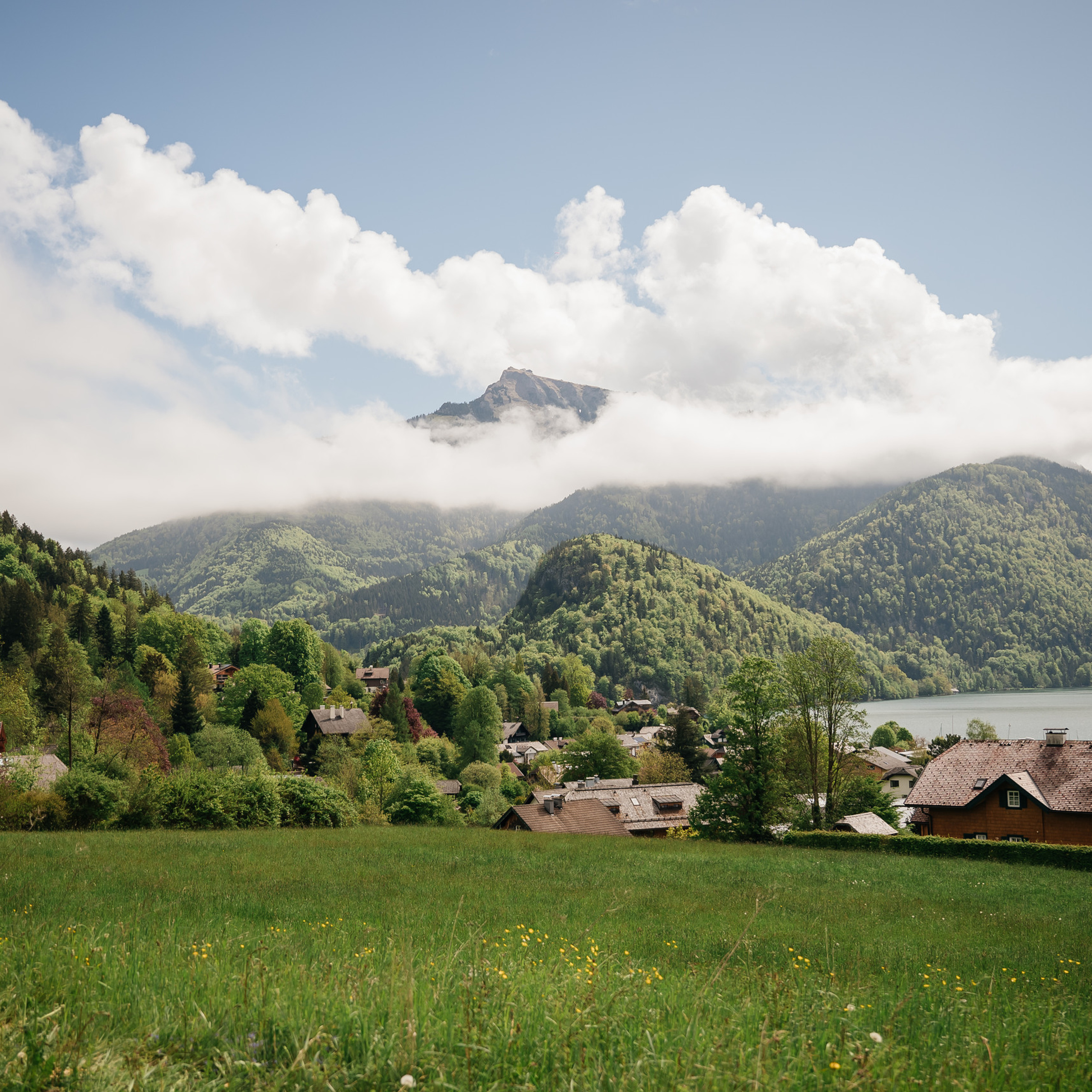 Отзывы. Vestuvių nuotraukos ir video Lietuvoje