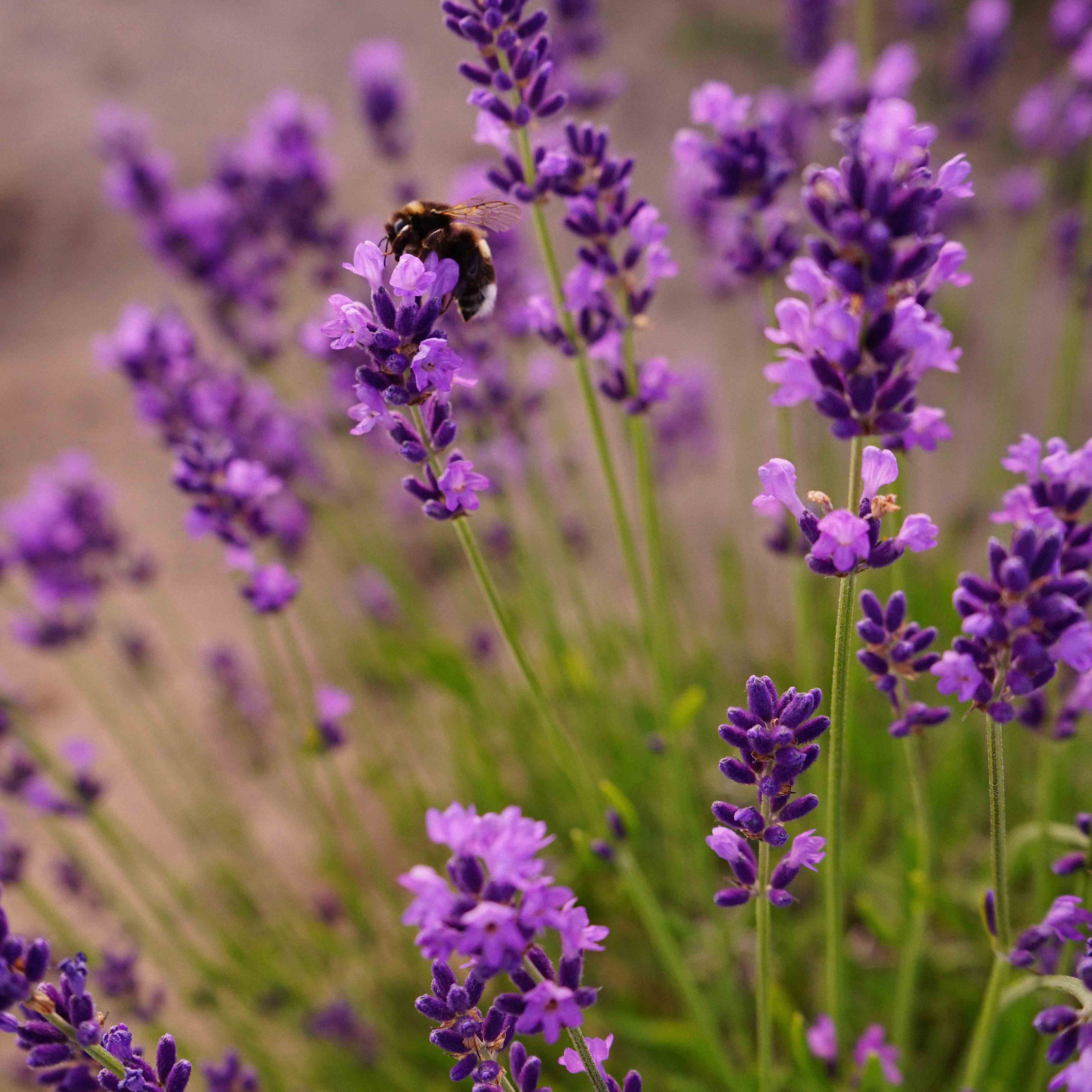 Блог. Сімейний фотограф Київ Наталія Шкаврон