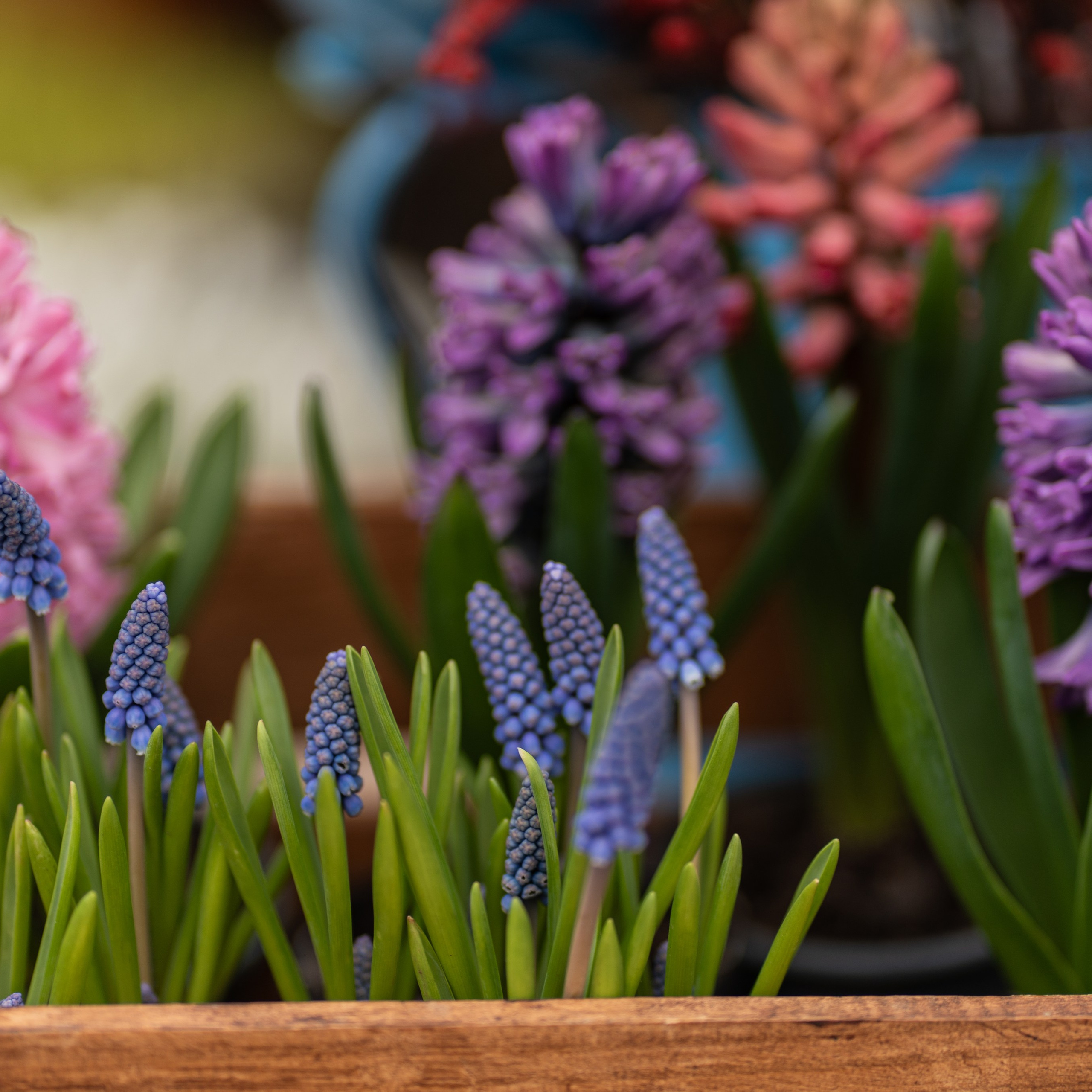 Блог. Сімейний фотограф Київ Наталія Шкаврон