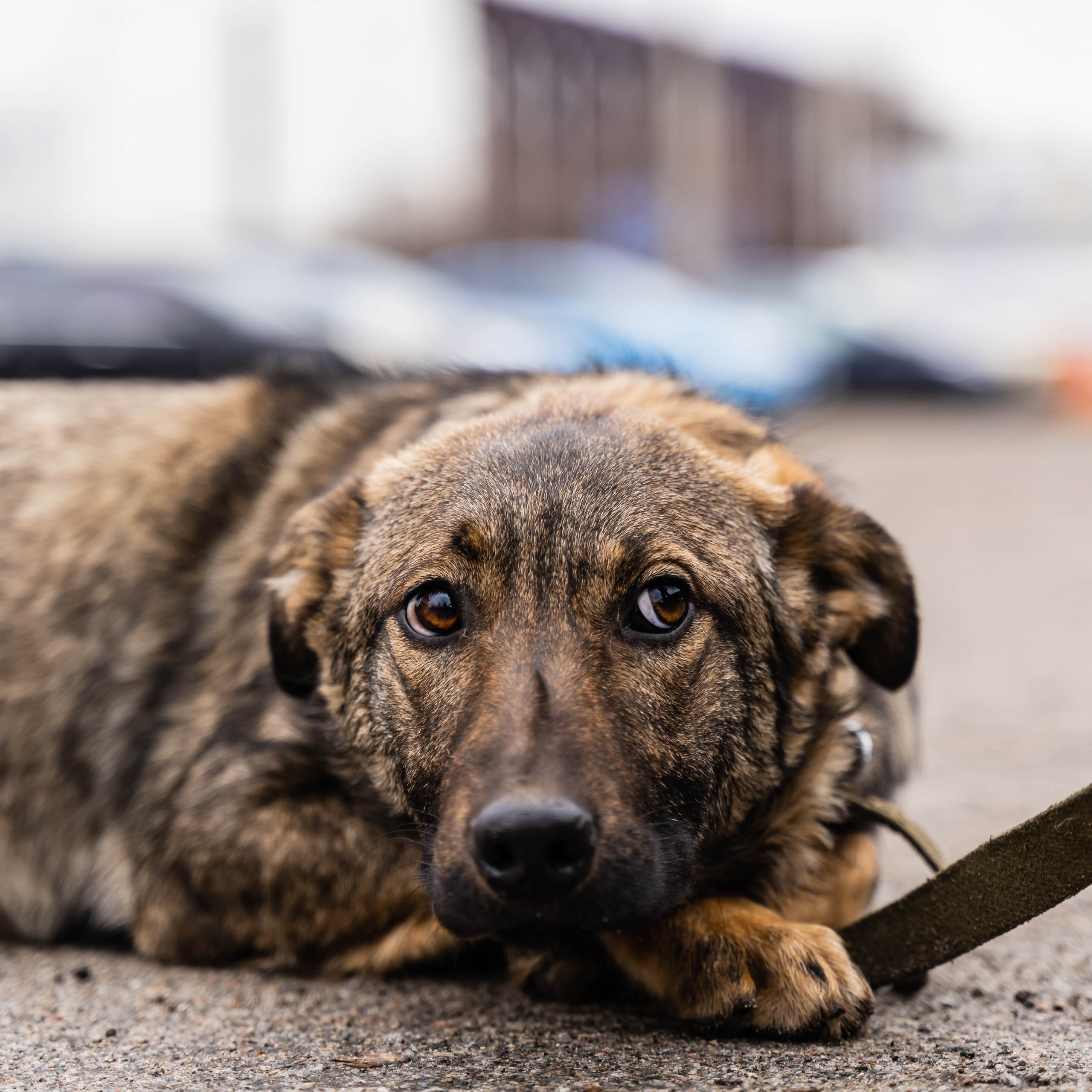 Блог. Сімейний фотограф Київ Наталія Шкаврон