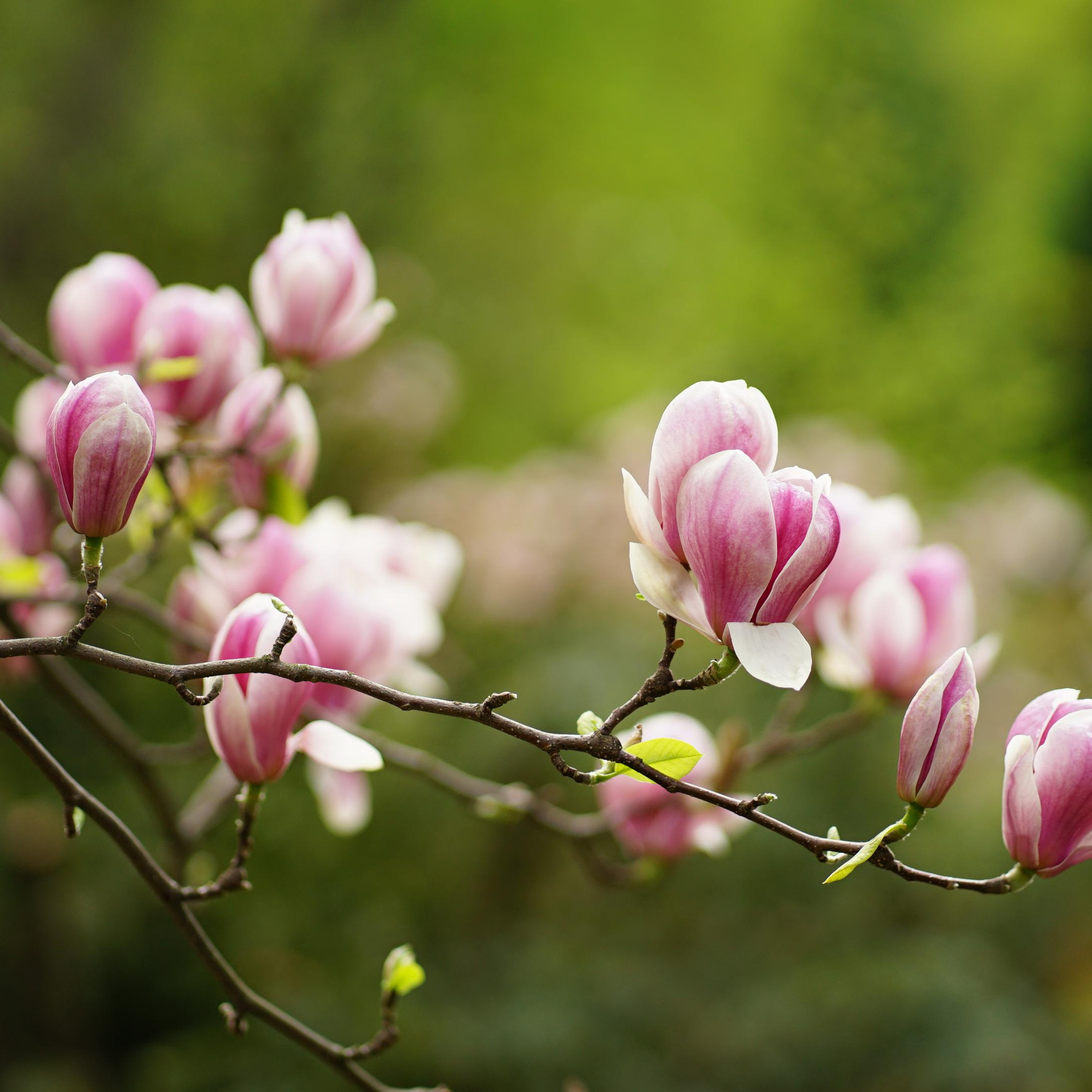 Блог. Сімейний фотограф Київ Наталія Шкаврон