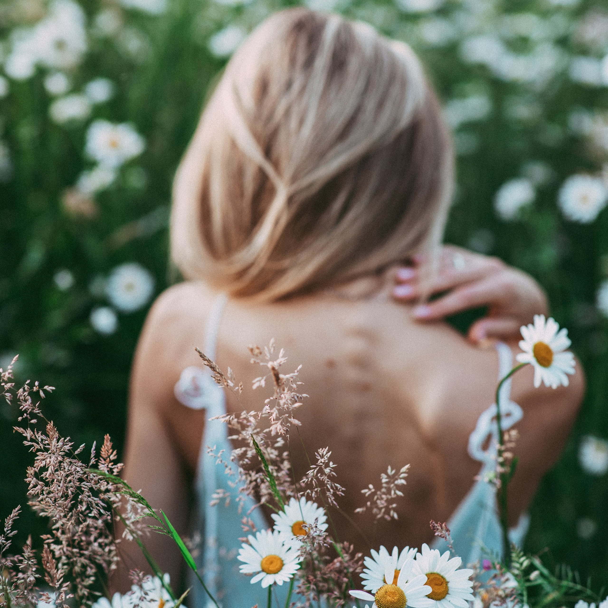 Ромашки. Наталя Твердохліб - дитячий та сімейний фотограф в Дрездені, Німеччина