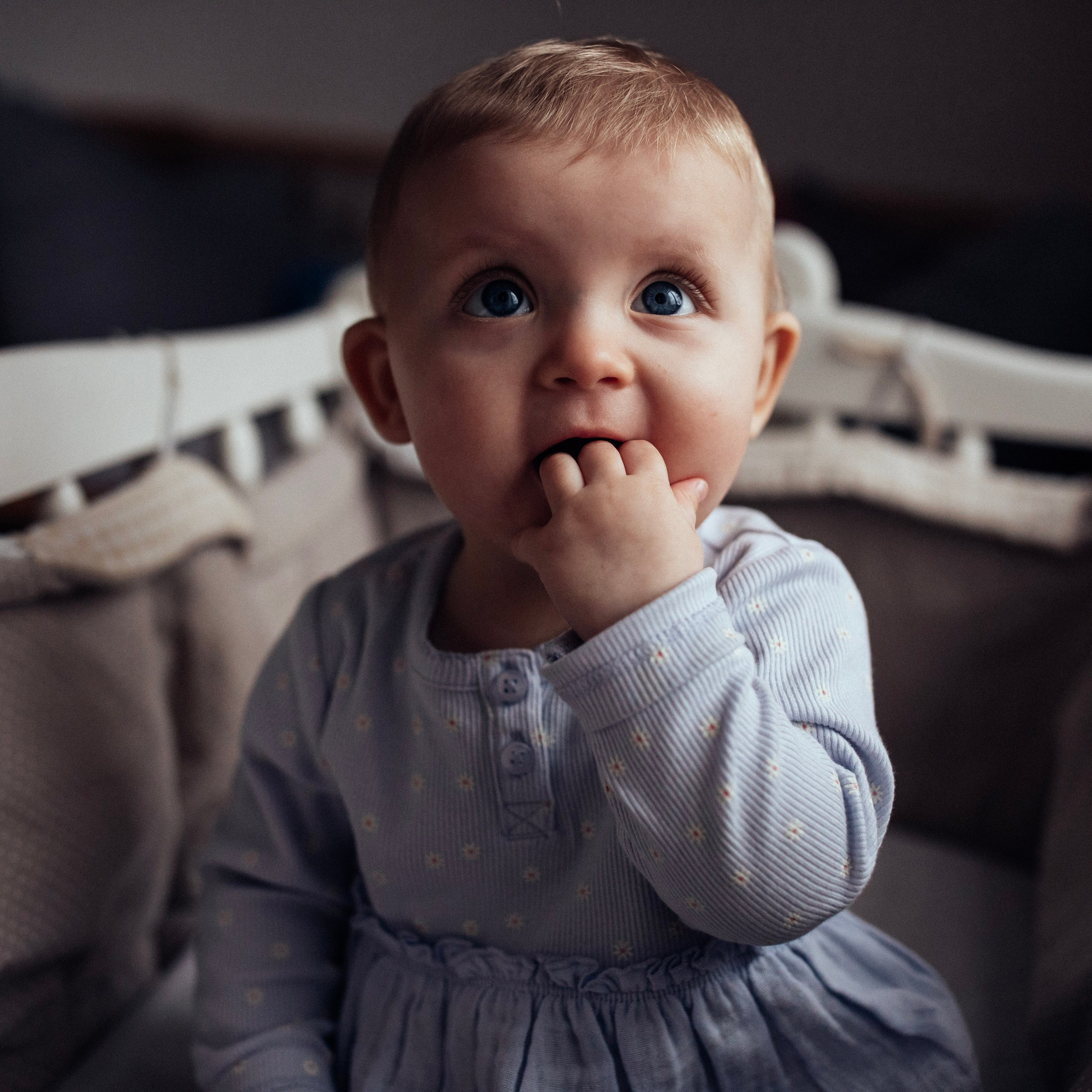 Софія. Наталя Твердохліб - дитячий та сімейний фотограф в Дрездені, Німеччина