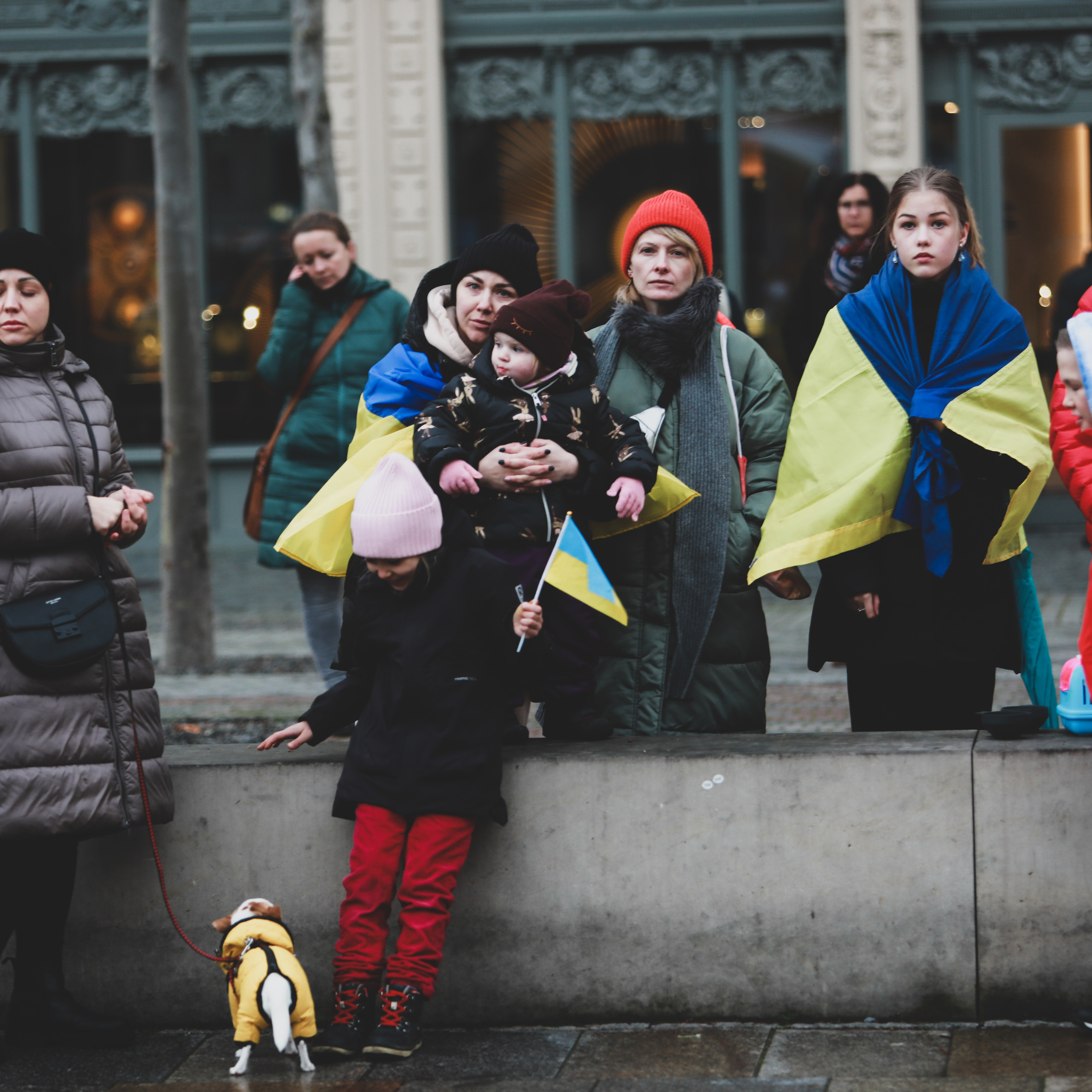 Річниця незламності. Наталя Твердохліб - дитячий та сімейний фотограф в Дрездені, Німеччина