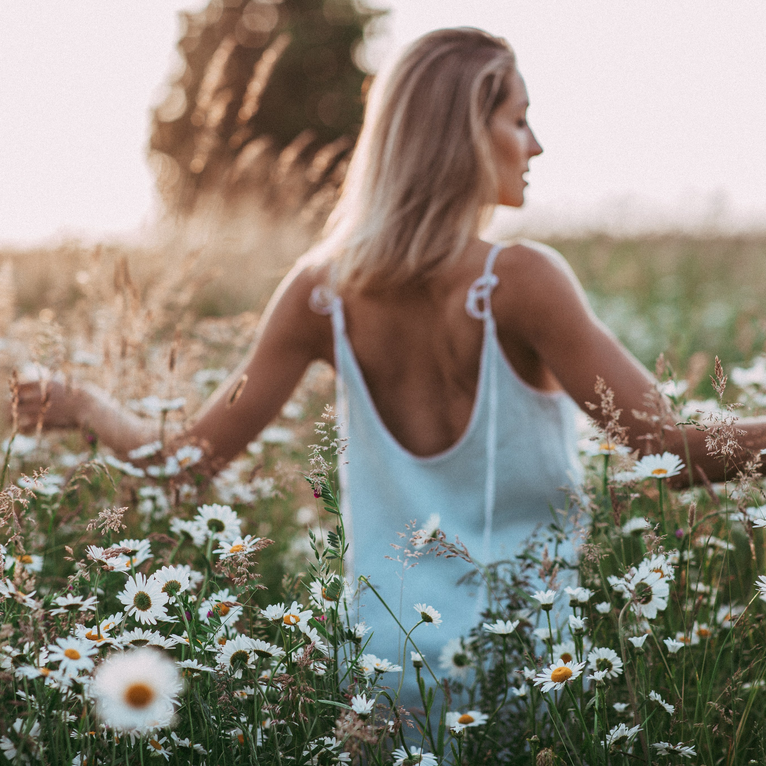 Ромашки. Наталя Твердохліб - дитячий та сімейний фотограф в Дрездені, Німеччина