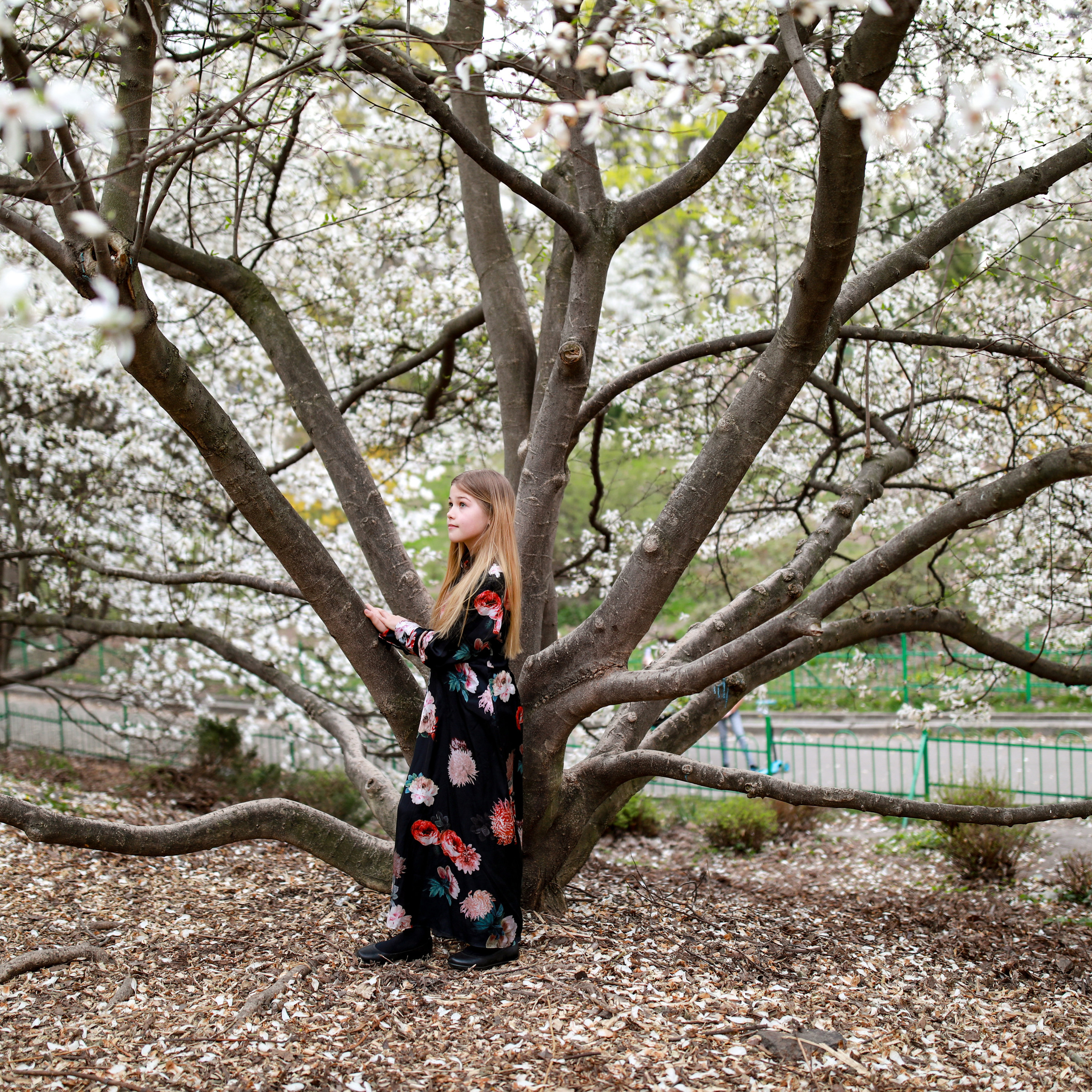 Марійка і магнолії. Наталя Твердохліб - дитячий та сімейний фотограф в Дрездені, Німеччина