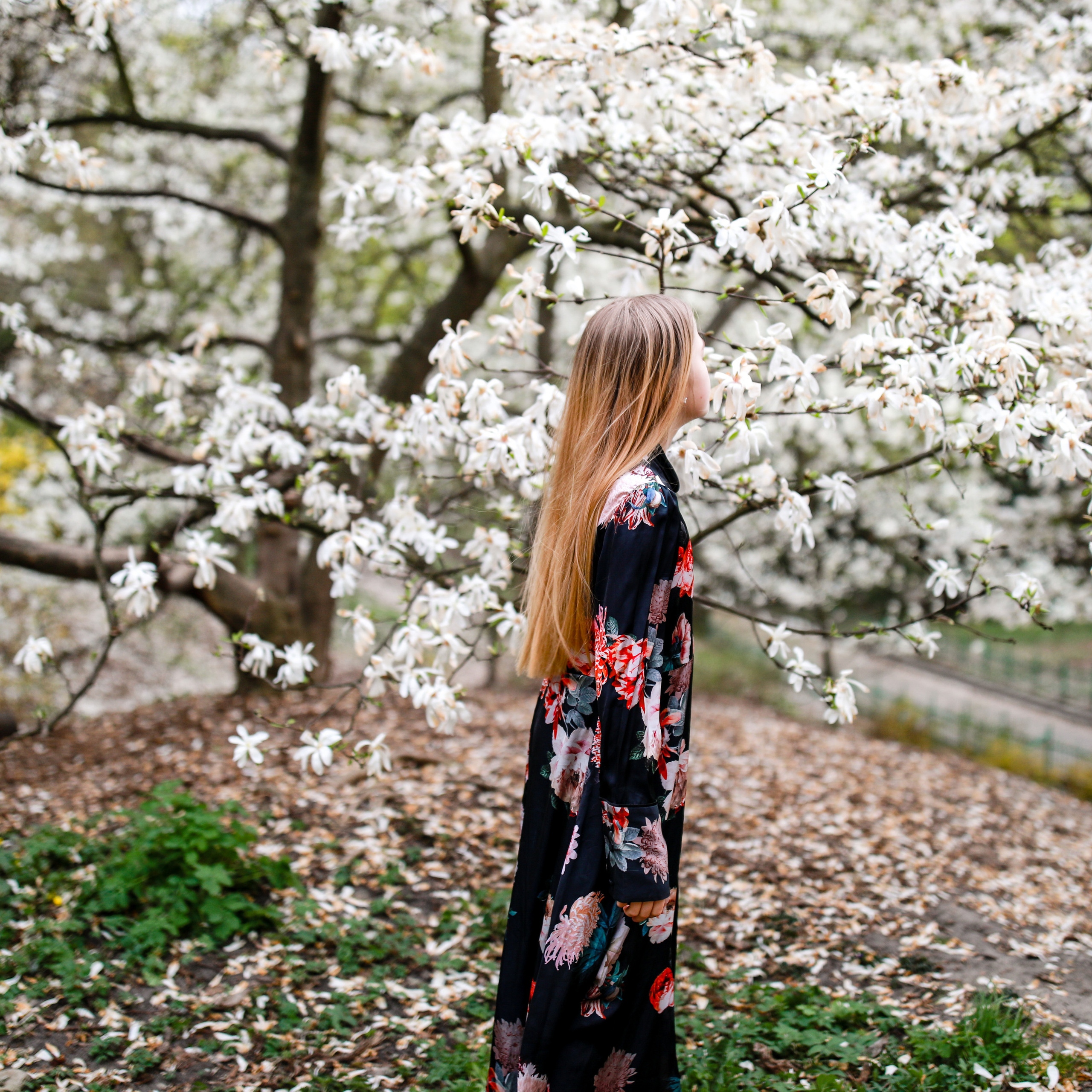 Марійка і магнолії. Наталя Твердохліб - дитячий та сімейний фотограф в Дрездені, Німеччина
