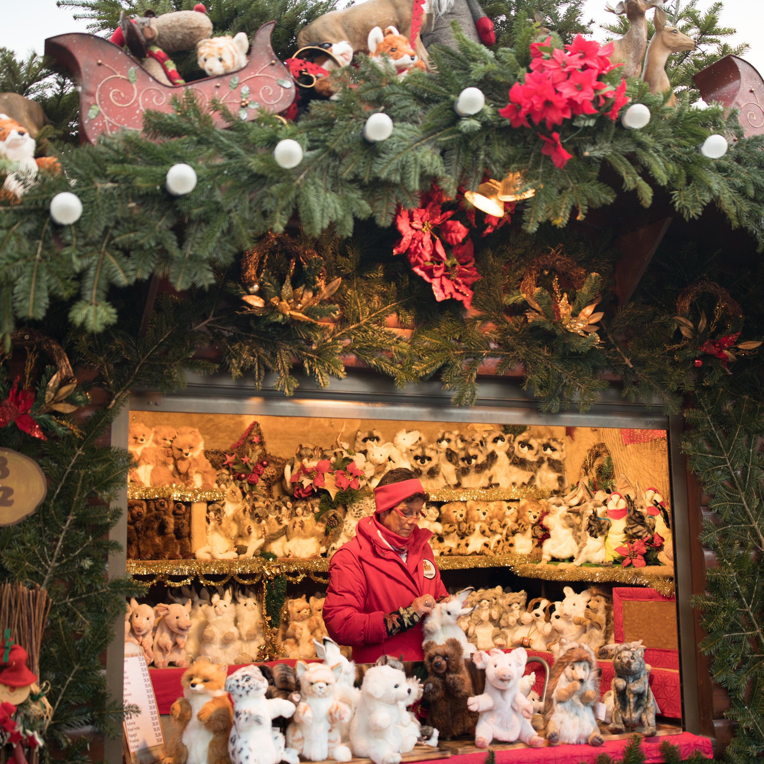 Дрезден різдвяний ярмарок. Наталя Твердохліб - дитячий та сімейний фотограф в Дрездені, Німеччина