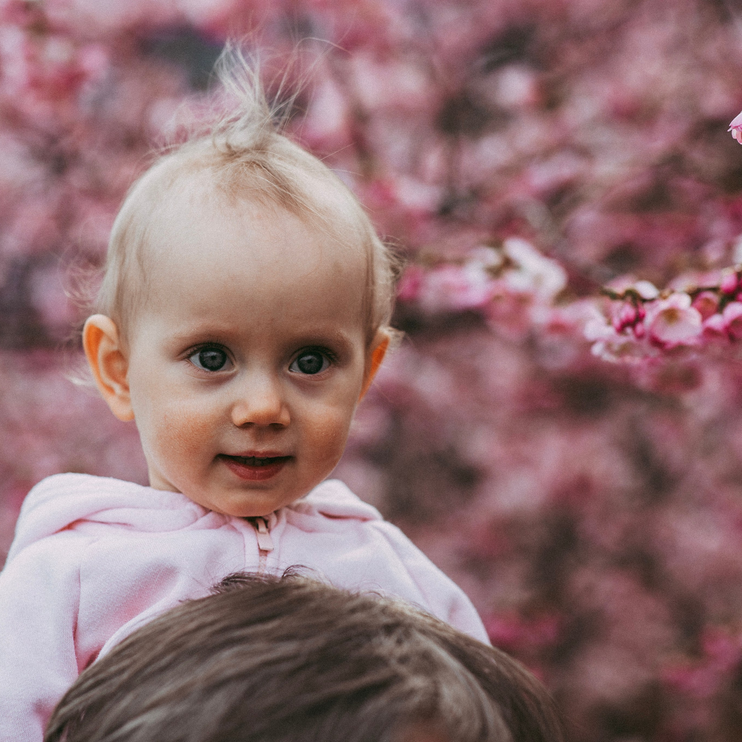 Марійка. Наталя Твердохліб - дитячий та сімейний фотограф в Дрездені, Німеччина