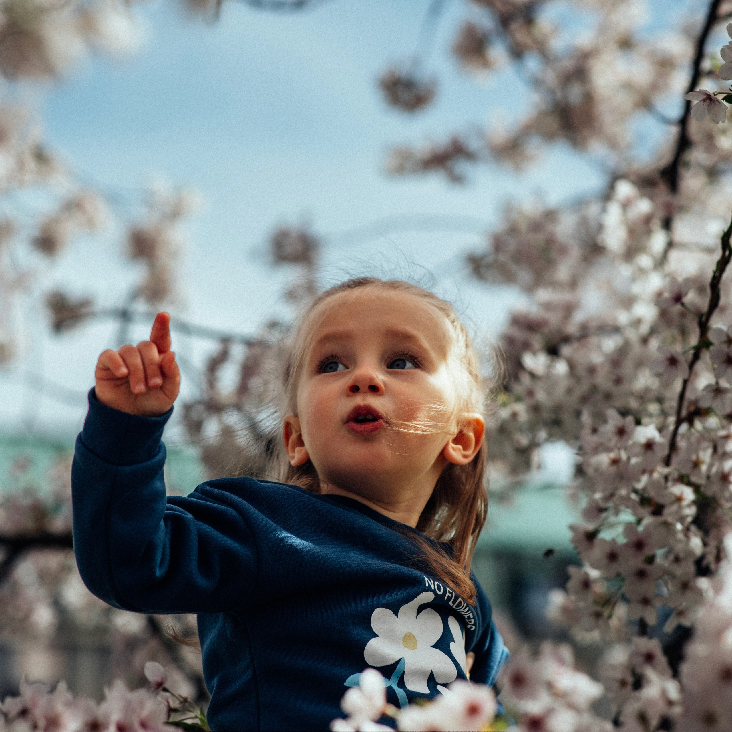 Таня. Наталя Твердохліб - дитячий та сімейний фотограф в Дрездені, Німеччина