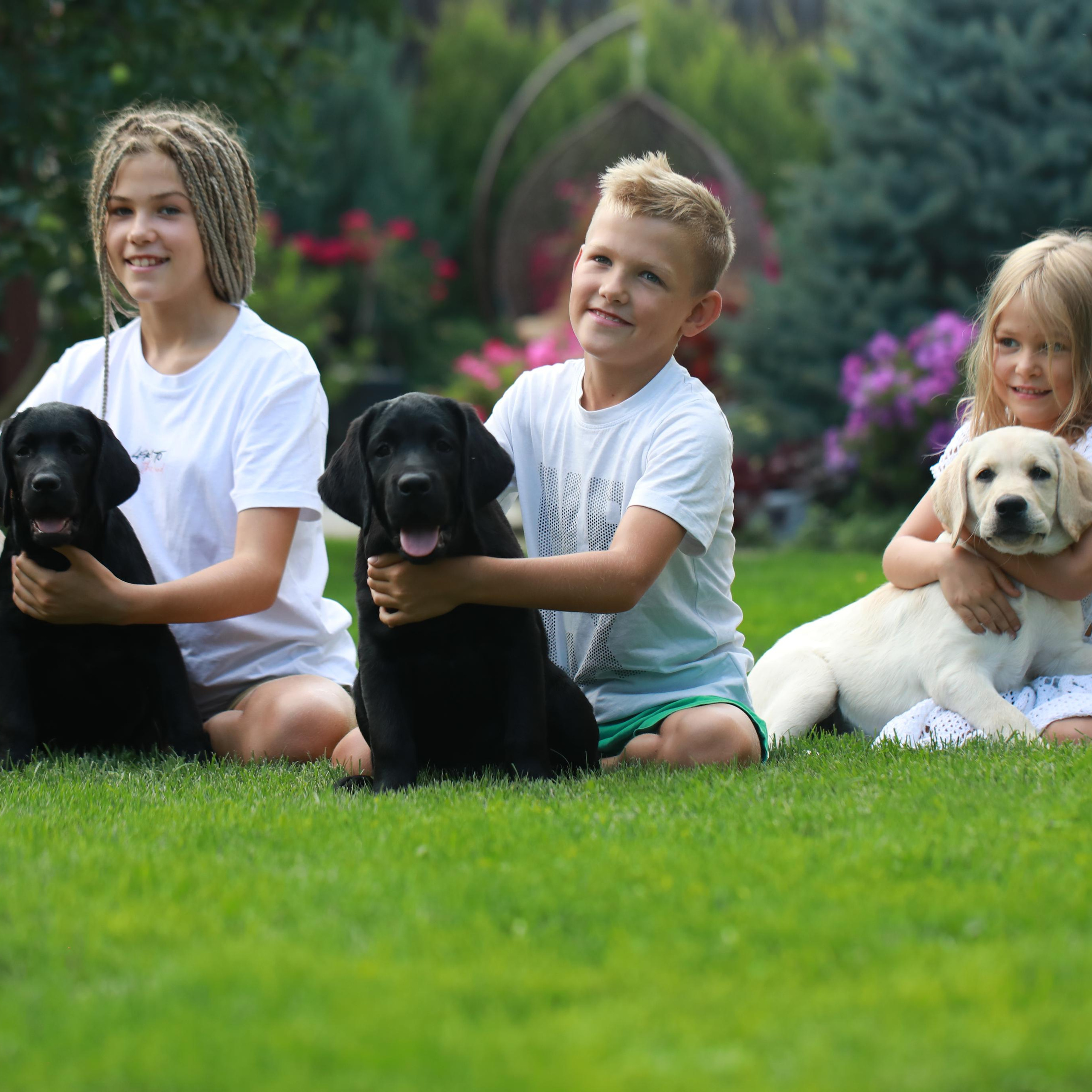 Цуценята. Наталя Твердохліб - дитячий та сімейний фотограф в Дрездені, Німеччина