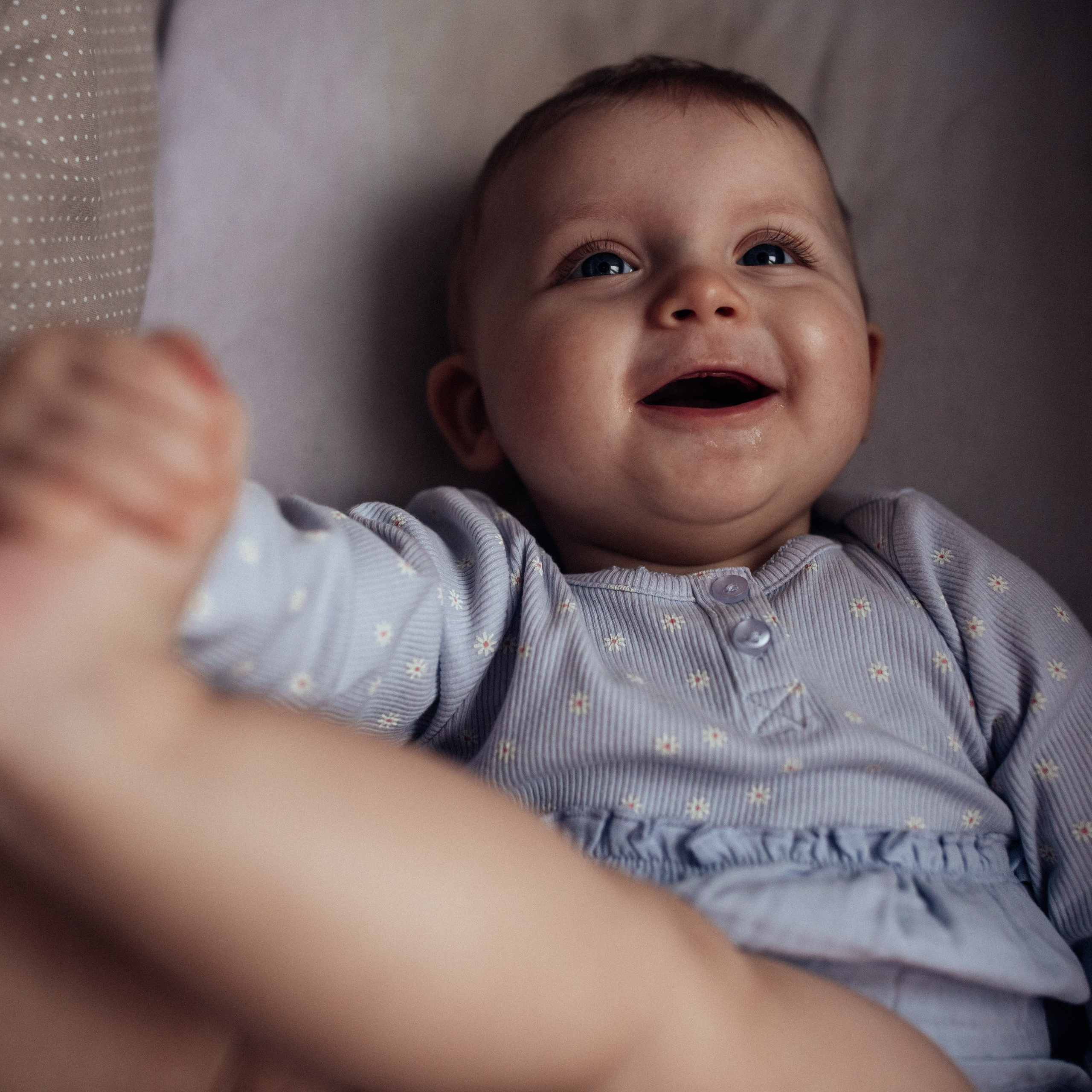 Софія. Наталя Твердохліб - дитячий та сімейний фотограф в Дрездені, Німеччина