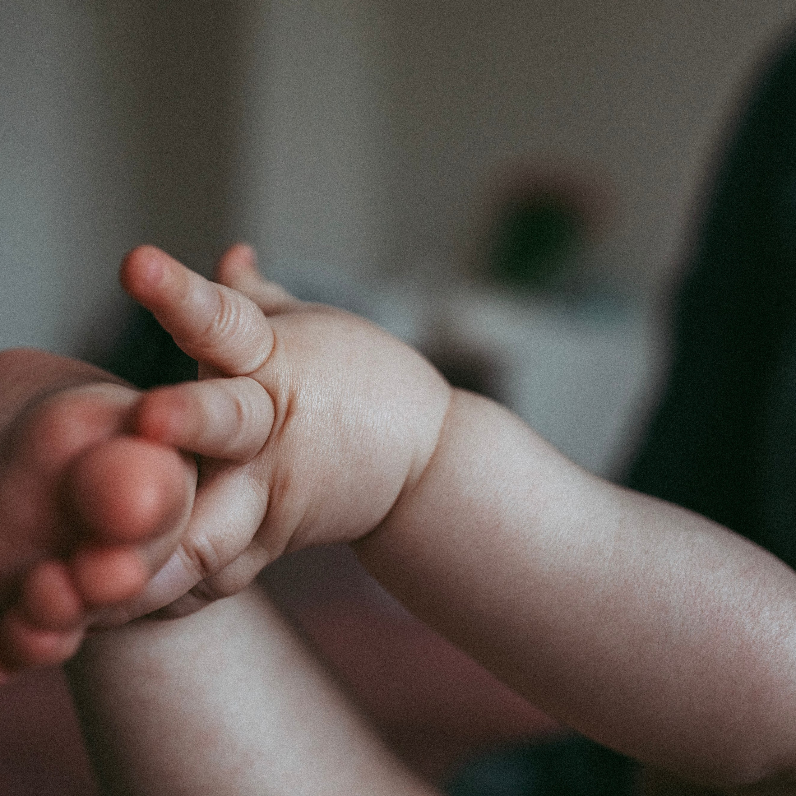 Elmira. Наталя Твердохліб - дитячий та сімейний фотограф в Дрездені, Німеччина