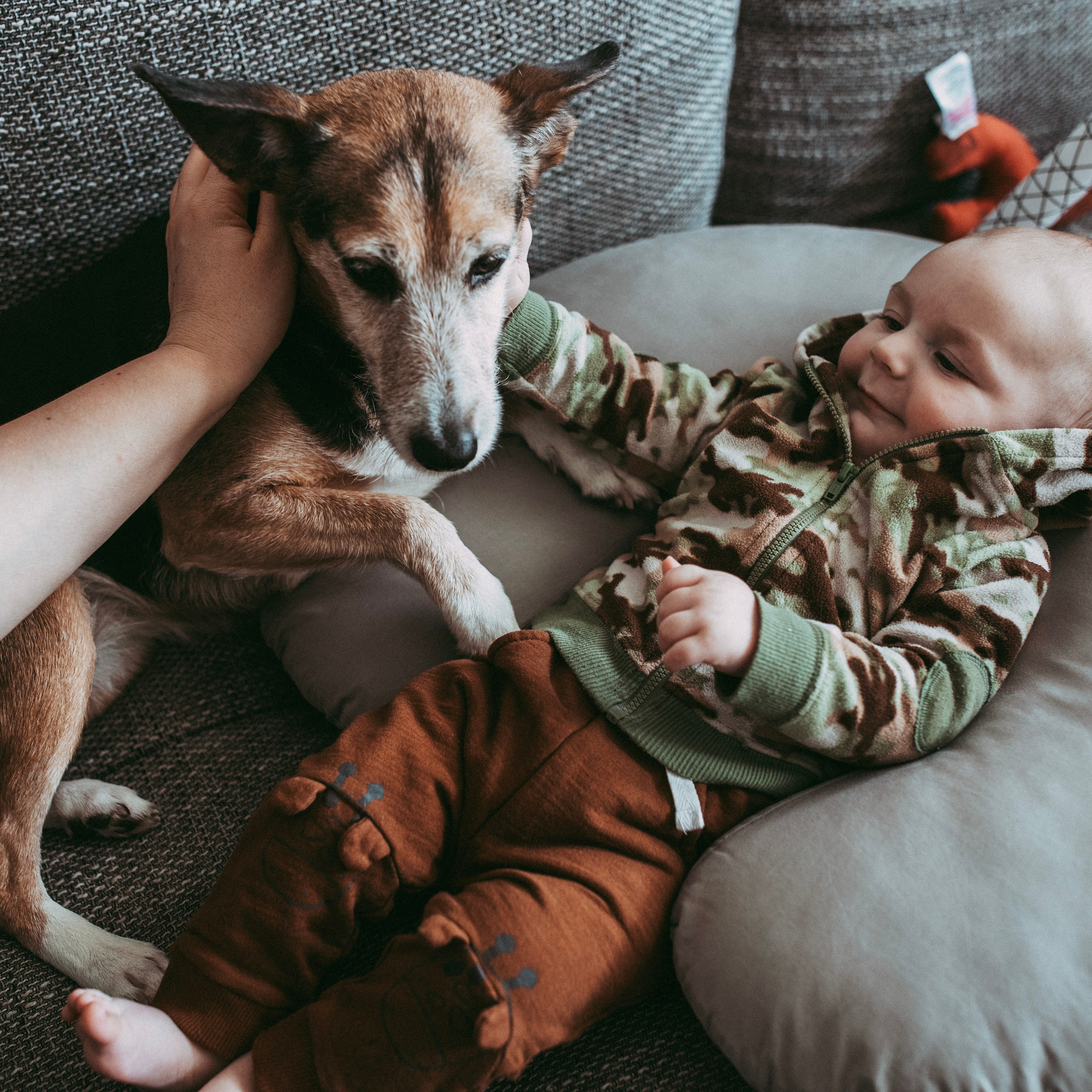 Адам. Наталя Твердохліб - дитячий та сімейний фотограф в Дрездені, Німеччина