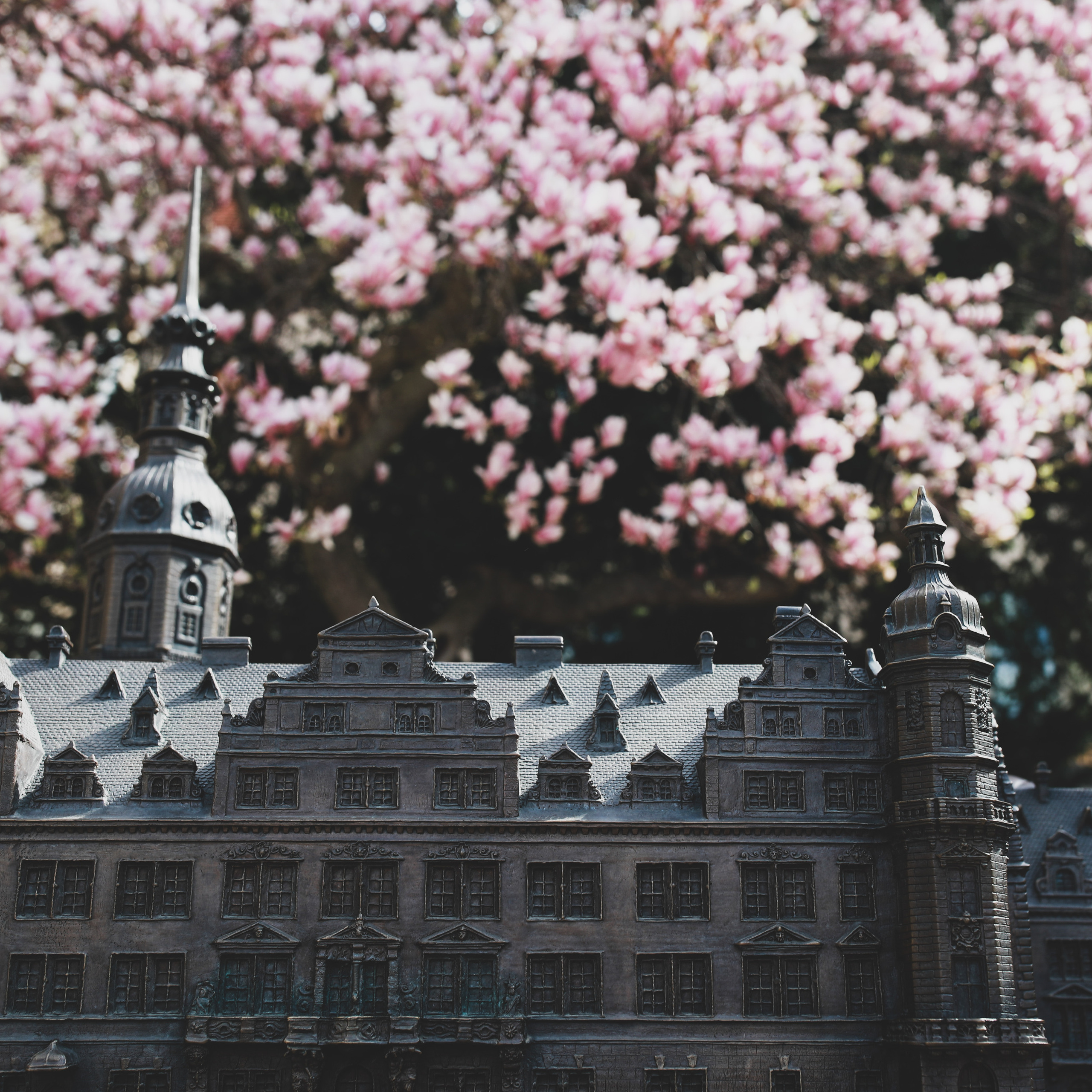 Весна у королівському палаці. Наталя Твердохліб - дитячий та сімейний фотограф в Дрездені, Німеччина