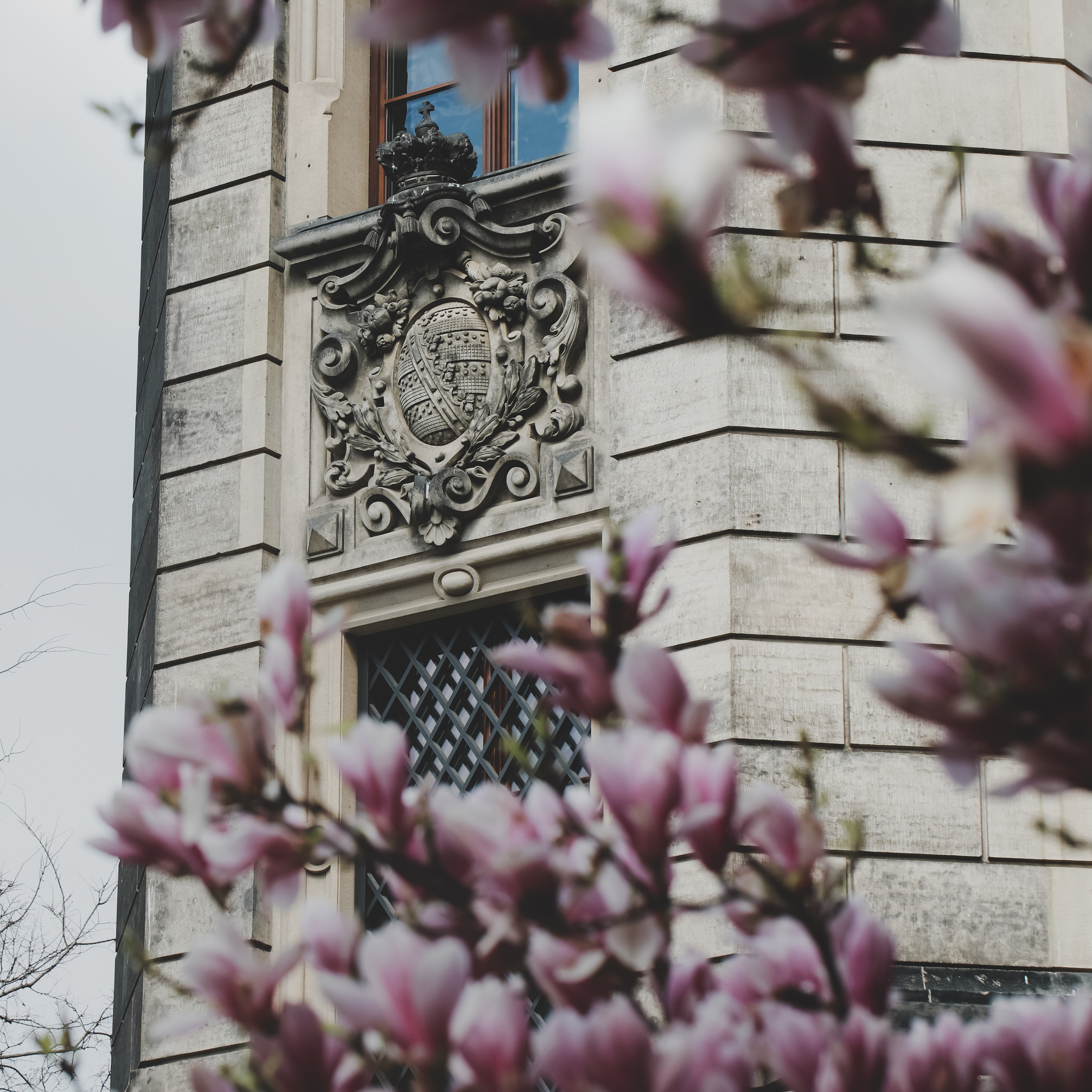 Весна у королівському палаці. Наталя Твердохліб - дитячий та сімейний фотограф в Дрездені, Німеччина