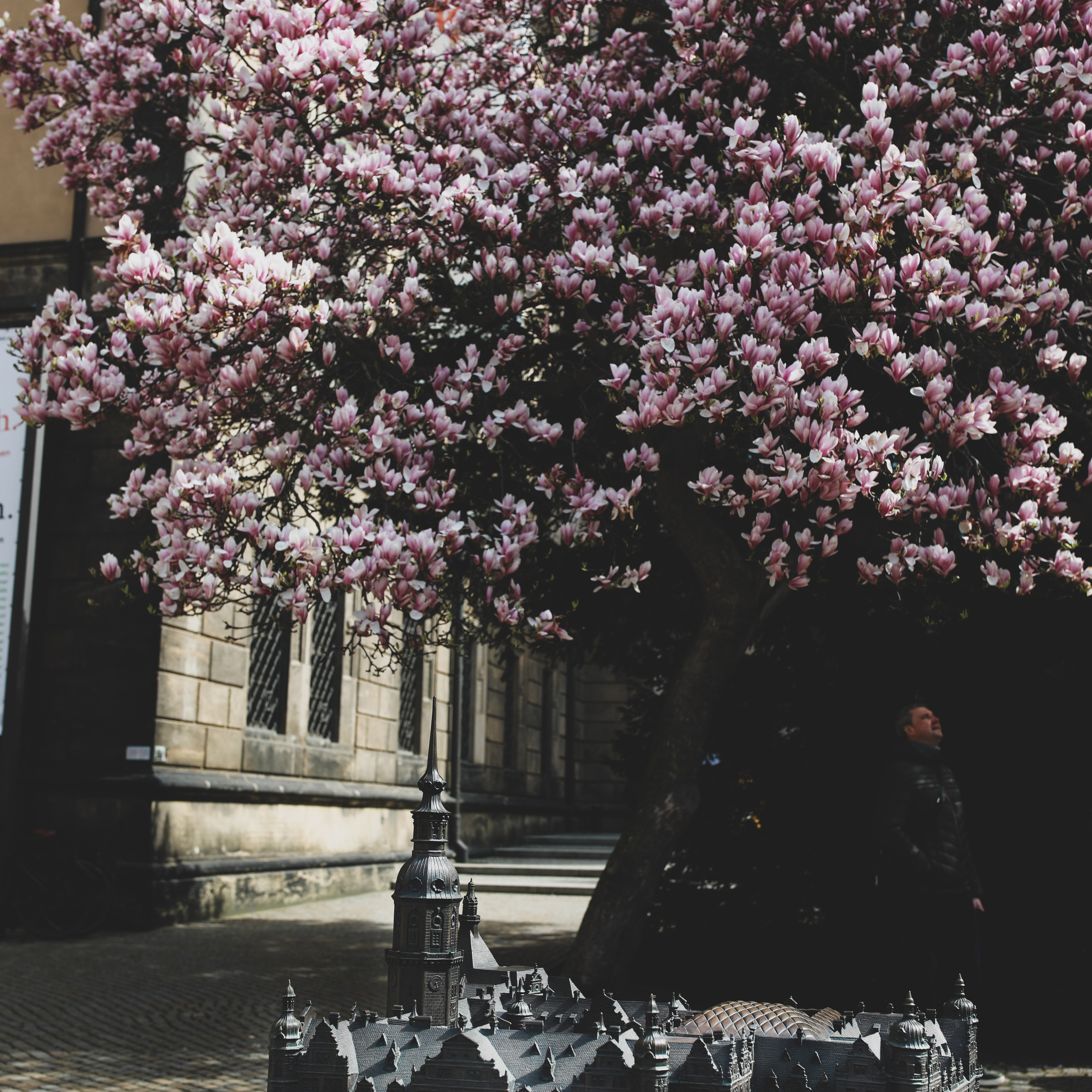 Весна у королівському палаці. Наталя Твердохліб - дитячий та сімейний фотограф в Дрездені, Німеччина