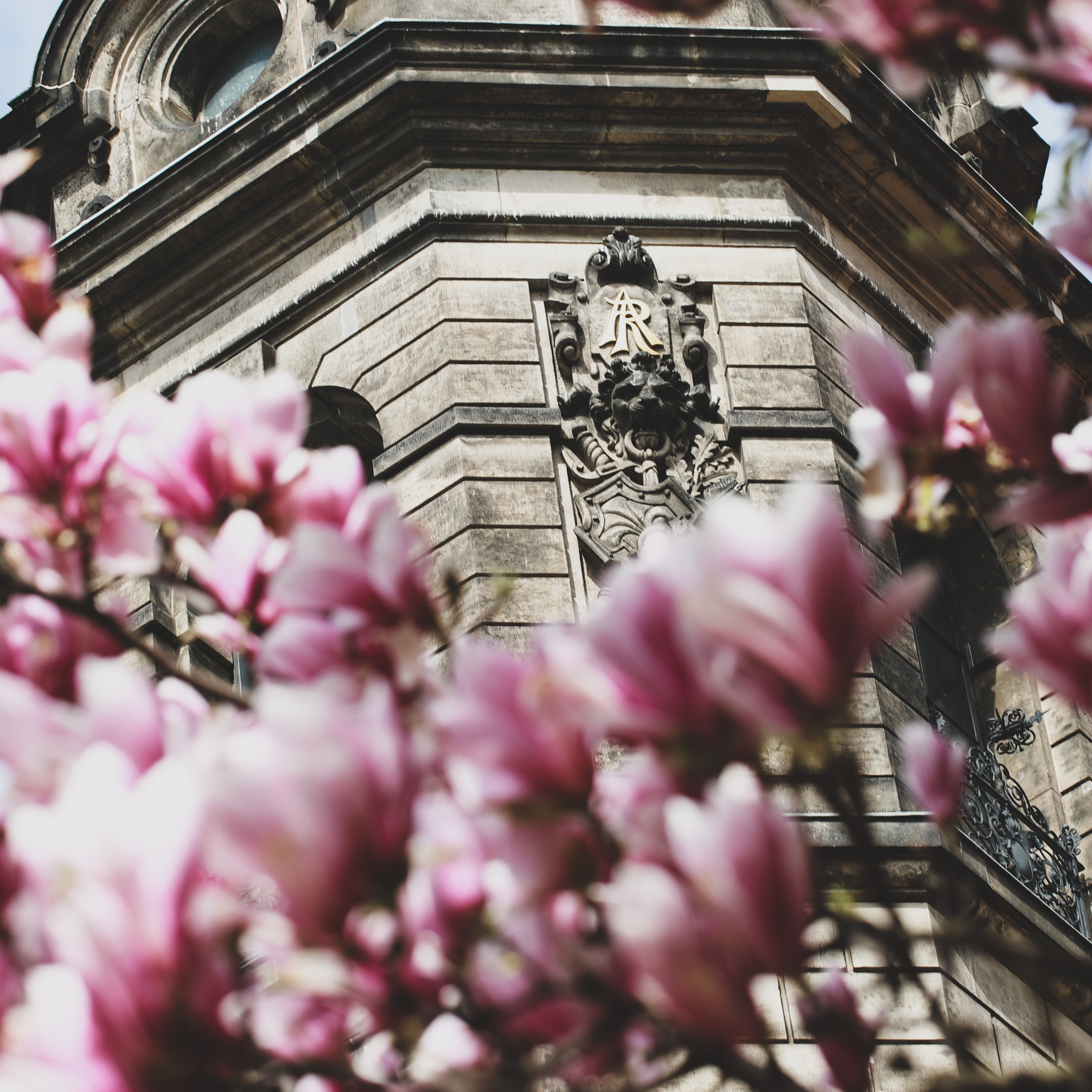 Весна у королівському палаці. Наталя Твердохліб - дитячий та сімейний фотограф в Дрездені, Німеччина