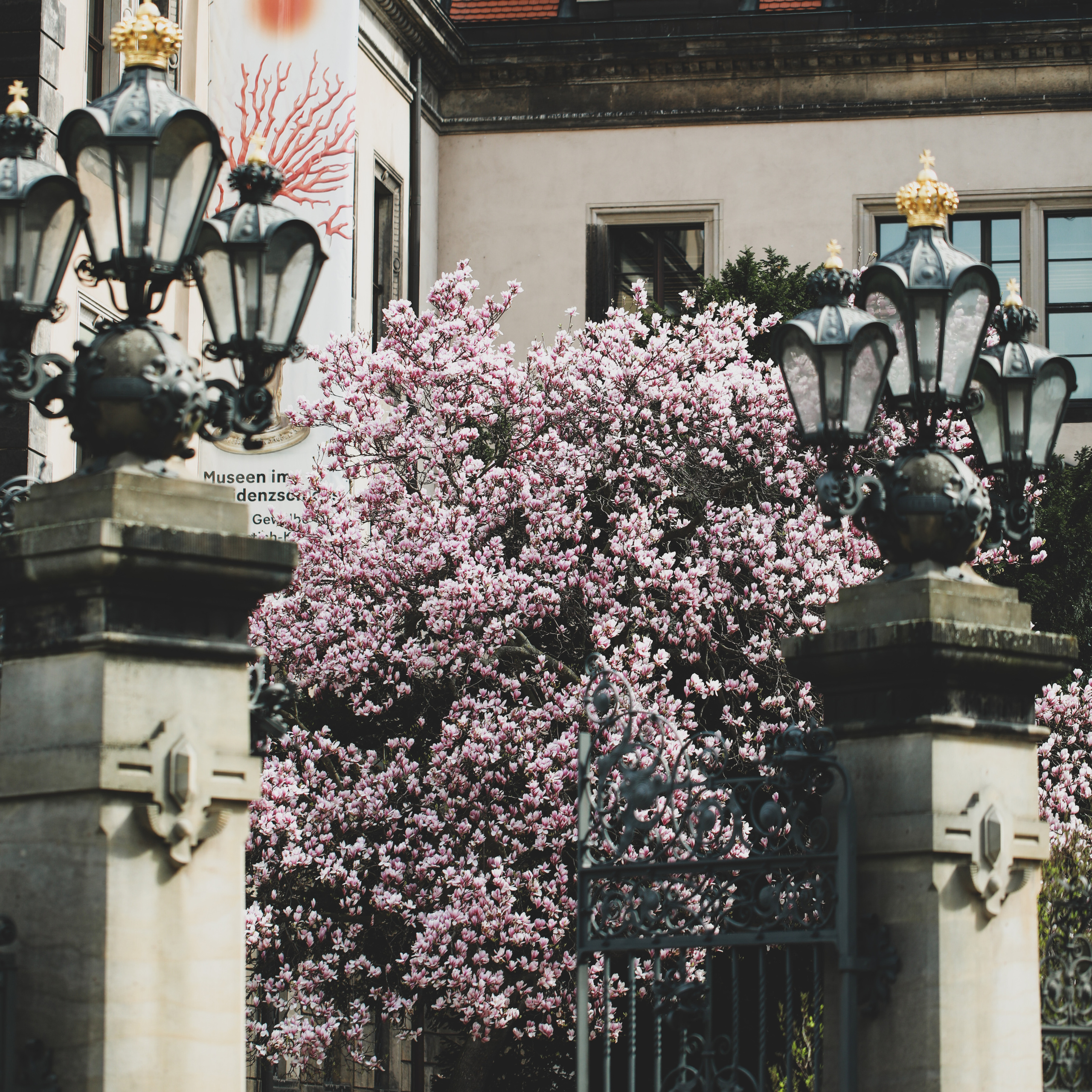 Весна у королівському палаці. Наталя Твердохліб - дитячий та сімейний фотограф в Дрездені, Німеччина