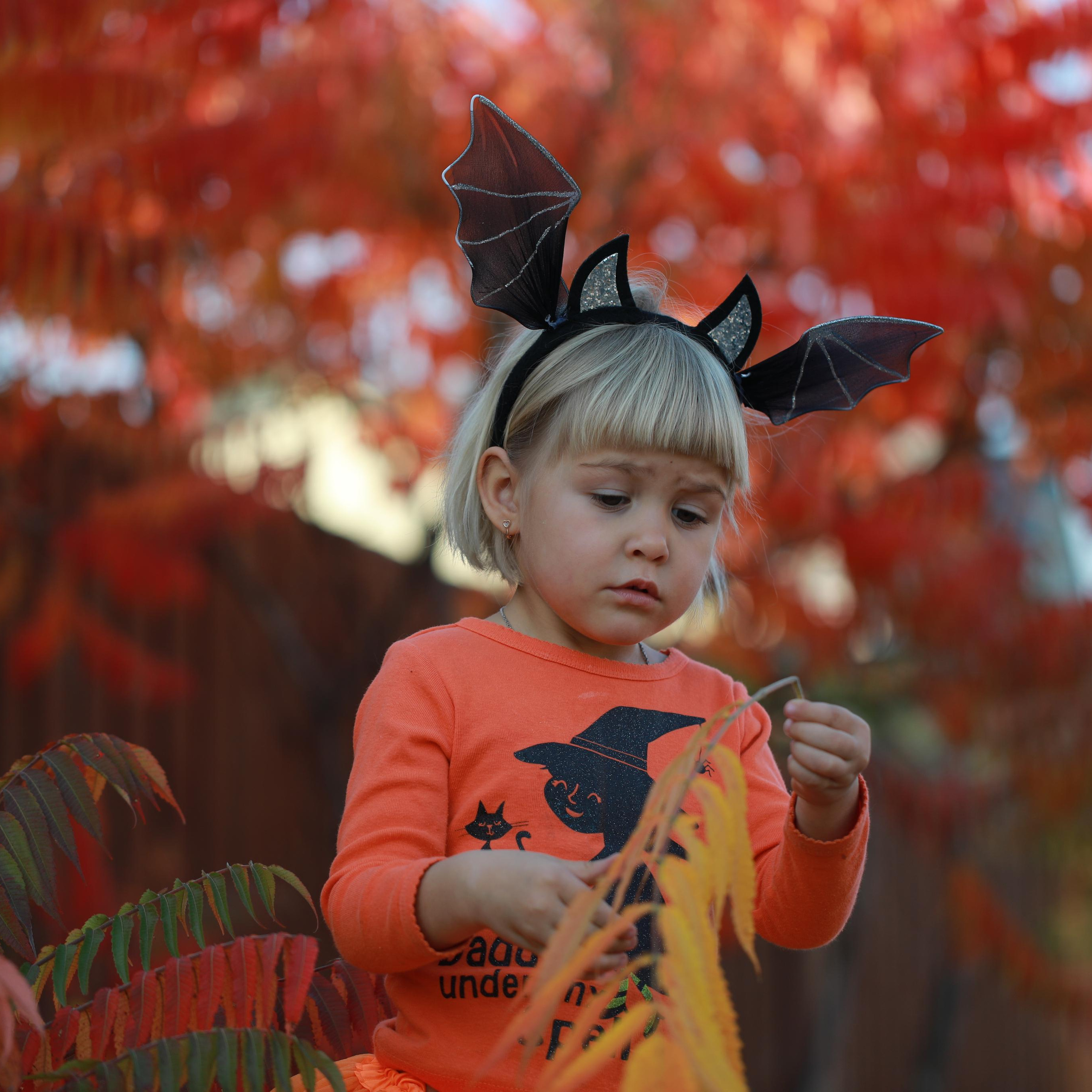 Дашуля Helloween. Наталя Твердохліб - дитячий та сімейний фотограф в Дрездені, Німеччина