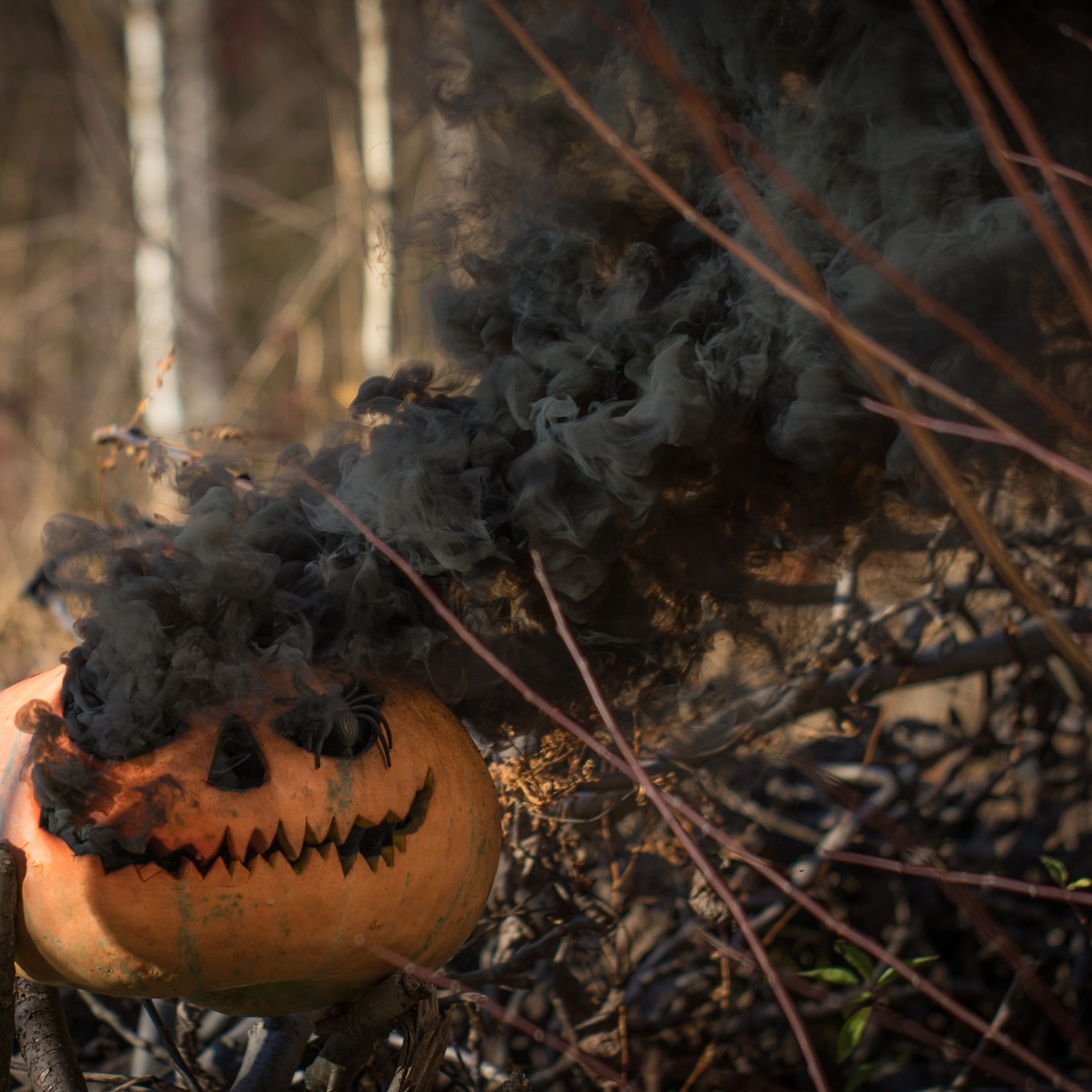 Helloween 2021. Наталя Твердохліб - дитячий та сімейний фотограф в Дрездені, Німеччина