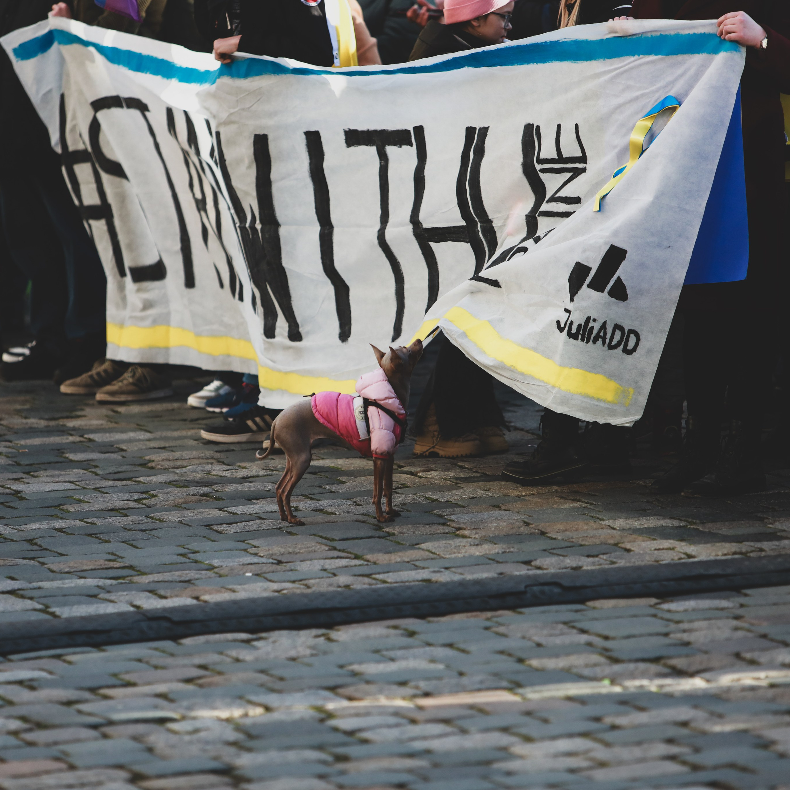 Друга річниця незламності. Дрезден. Наталя Твердохліб - дитячий та сімейний фотограф в Дрездені, Німеччина