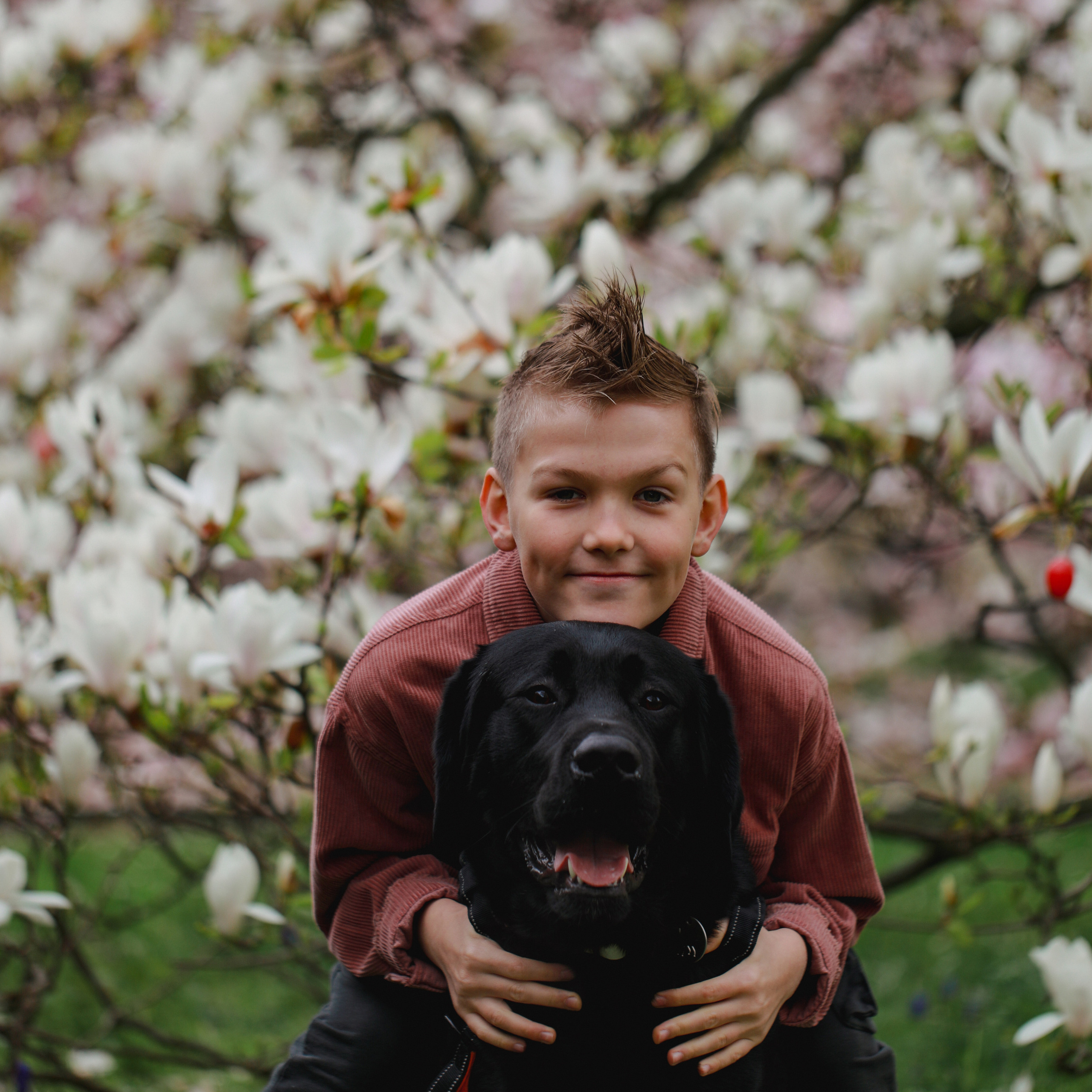 Магнолії в Дрездені. Наталя Твердохліб - дитячий та сімейний фотограф в Дрездені, Німеччина