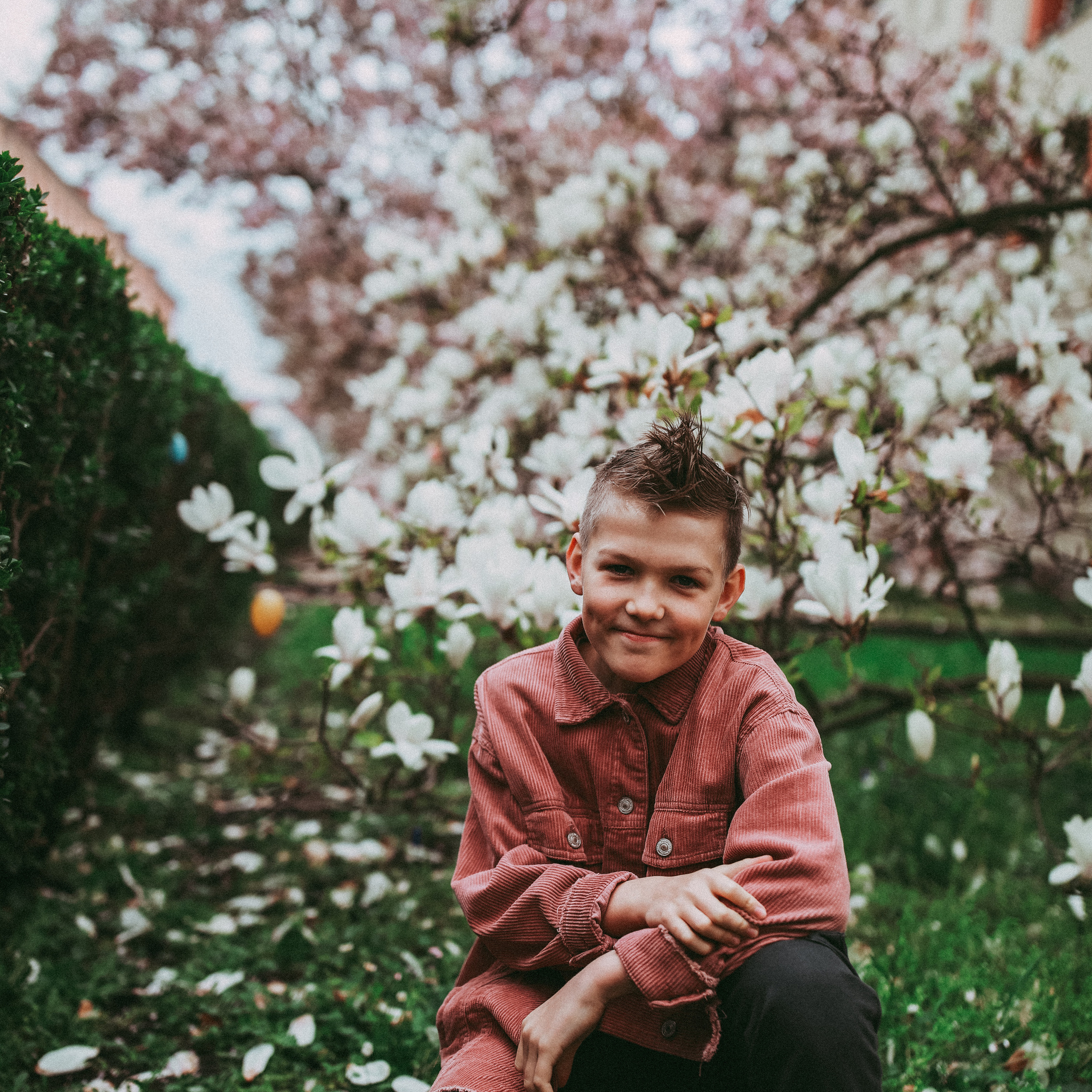Магнолії в Дрездені. Наталя Твердохліб - дитячий та сімейний фотограф в Дрездені, Німеччина