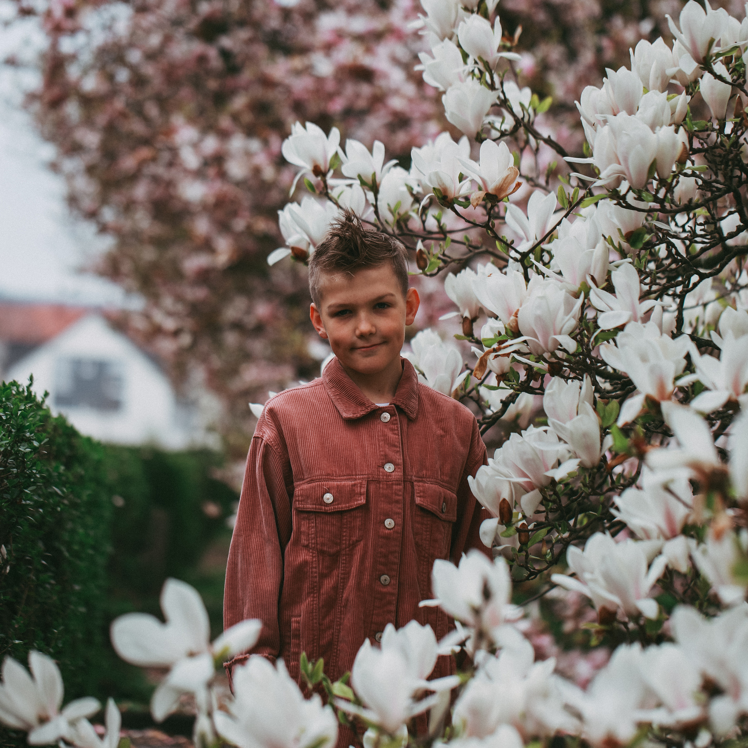 Магнолії в Дрездені. Наталя Твердохліб - дитячий та сімейний фотограф в Дрездені, Німеччина