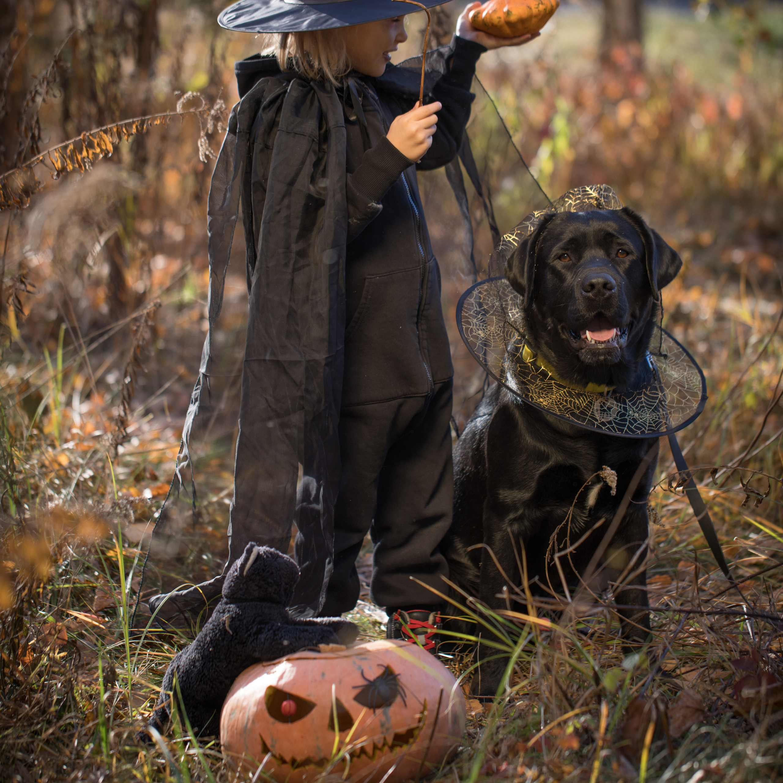 Helloween 2021. Наталя Твердохліб - дитячий та сімейний фотограф в Дрездені, Німеччина