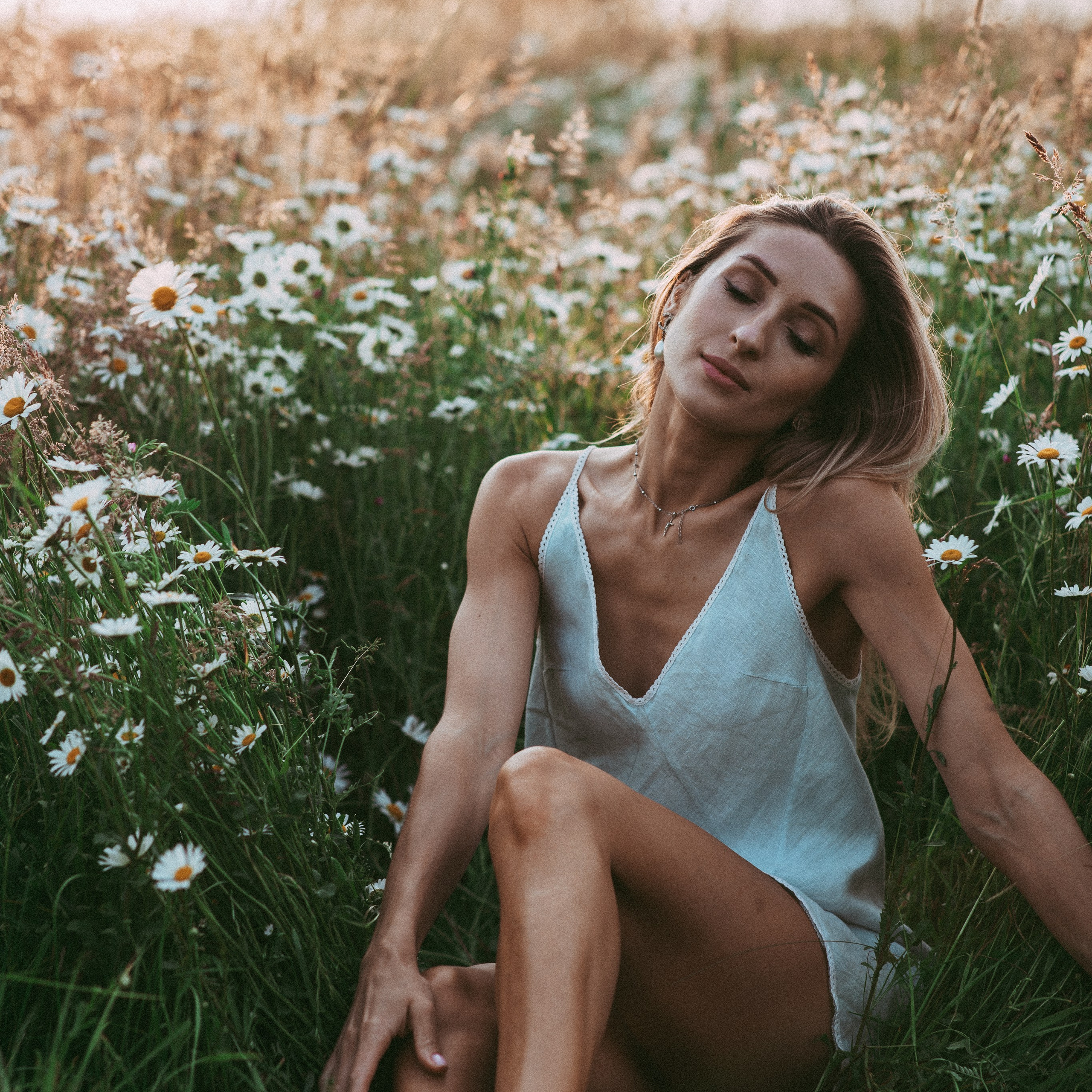 Ромашки. Наталя Твердохліб - дитячий та сімейний фотограф в Дрездені, Німеччина