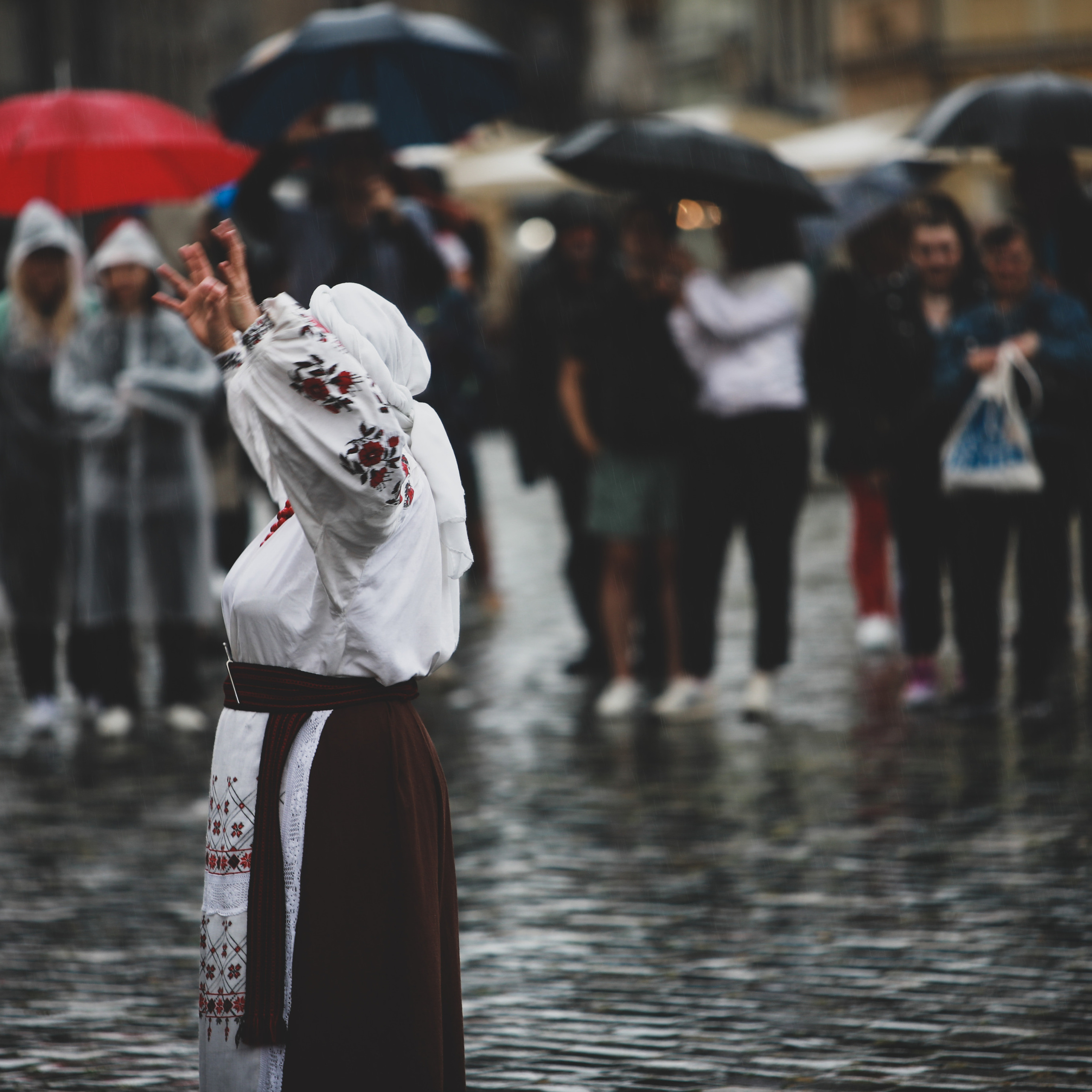 KOLA концерт в Дрездені. Наталя Твердохліб - дитячий та сімейний фотограф в Дрездені, Німеччина
