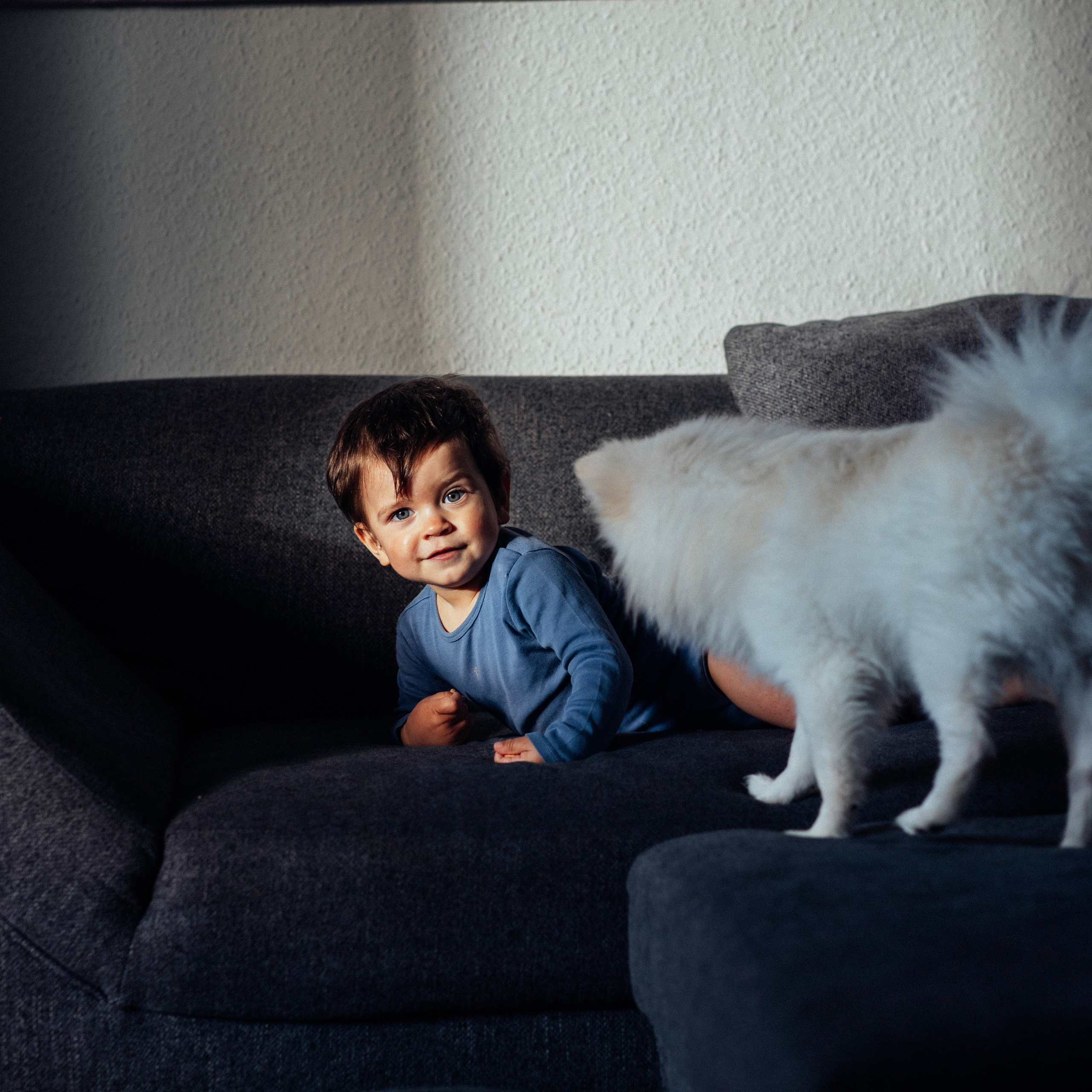Святік. Наталя Твердохліб - дитячий та сімейний фотограф в Дрездені, Німеччина