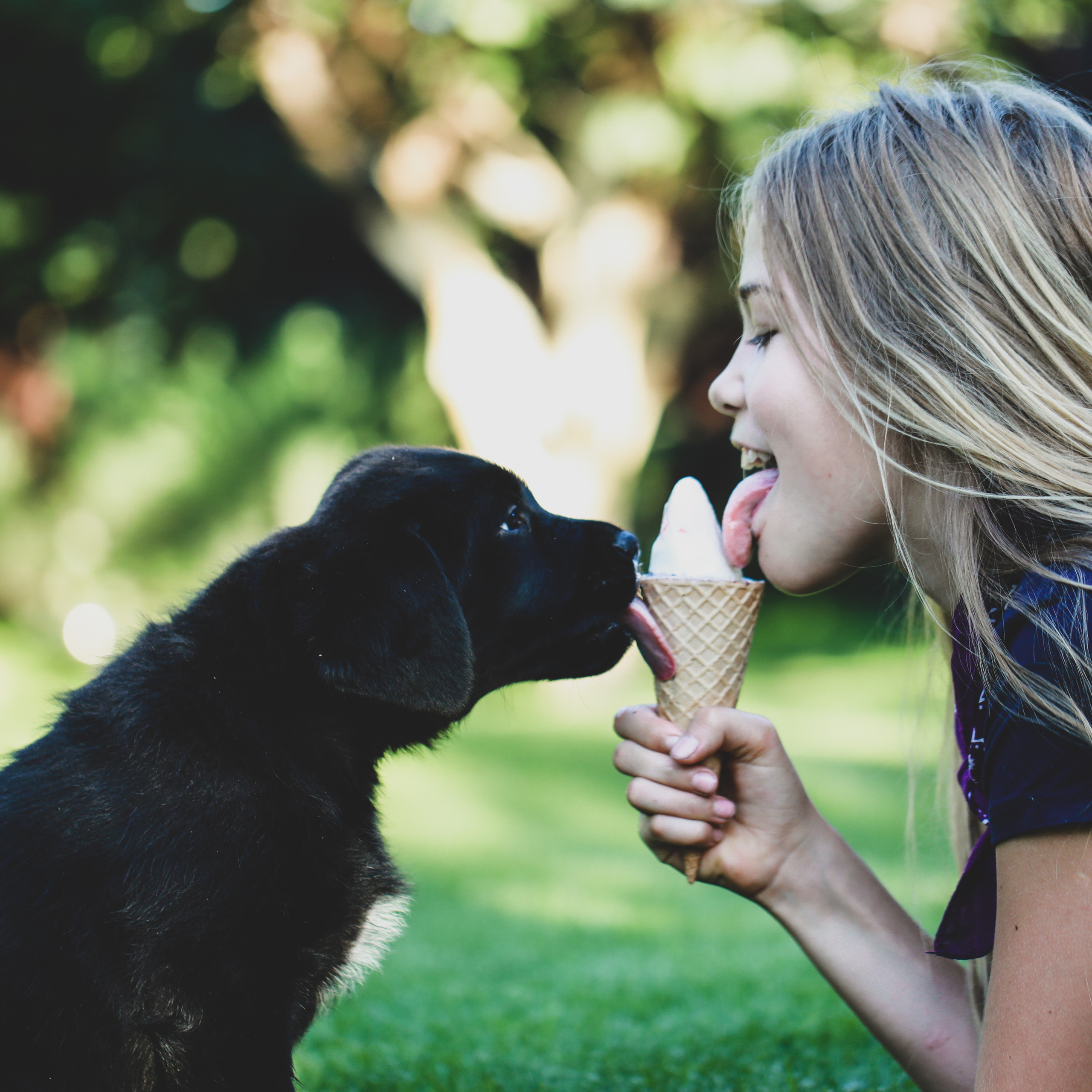 Цуценята. Наталя Твердохліб - дитячий та сімейний фотограф в Дрездені, Німеччина