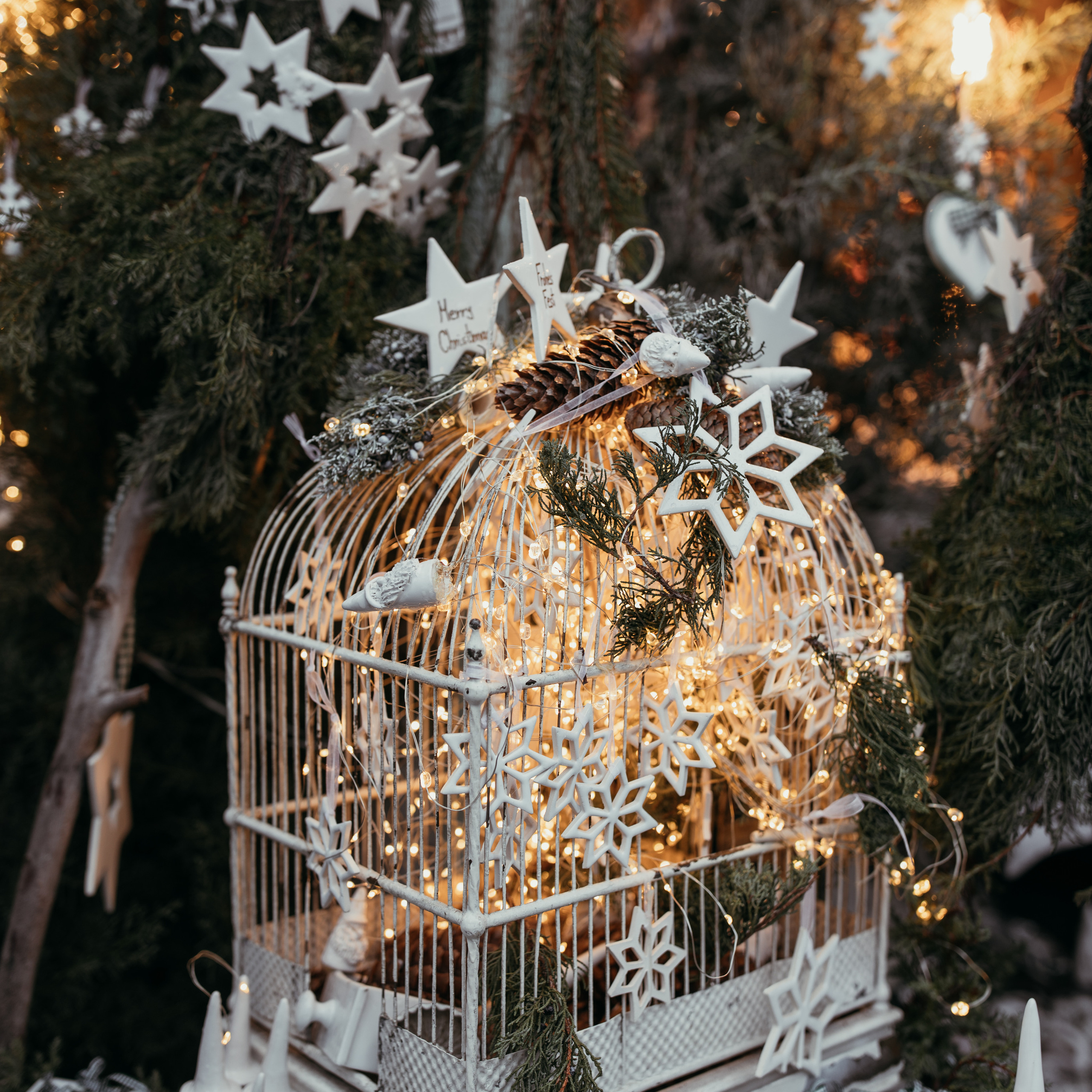 Дрезден різдвяний ярмарок. Наталя Твердохліб - дитячий та сімейний фотограф в Дрездені, Німеччина