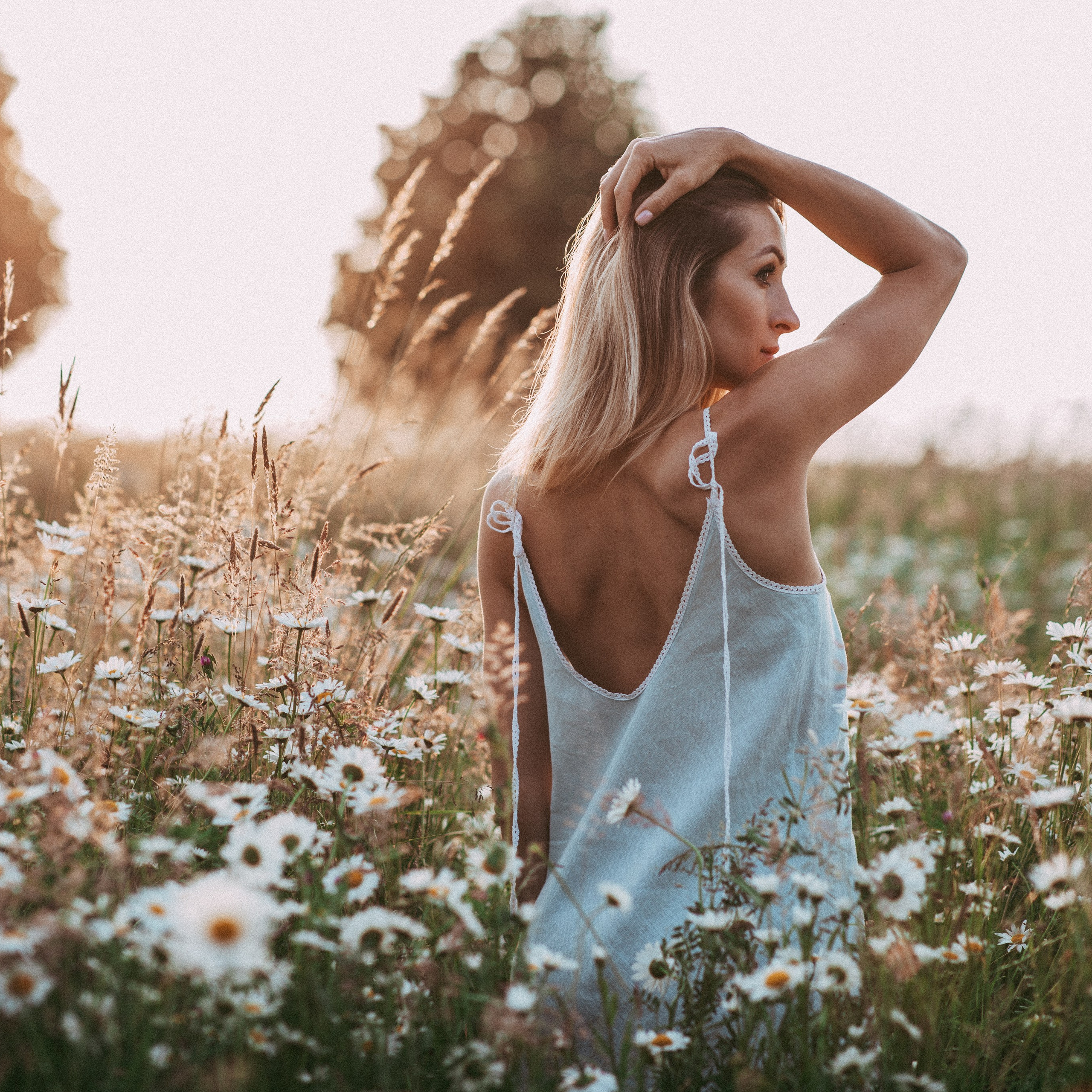 Ромашки. Наталя Твердохліб - дитячий та сімейний фотограф в Дрездені, Німеччина