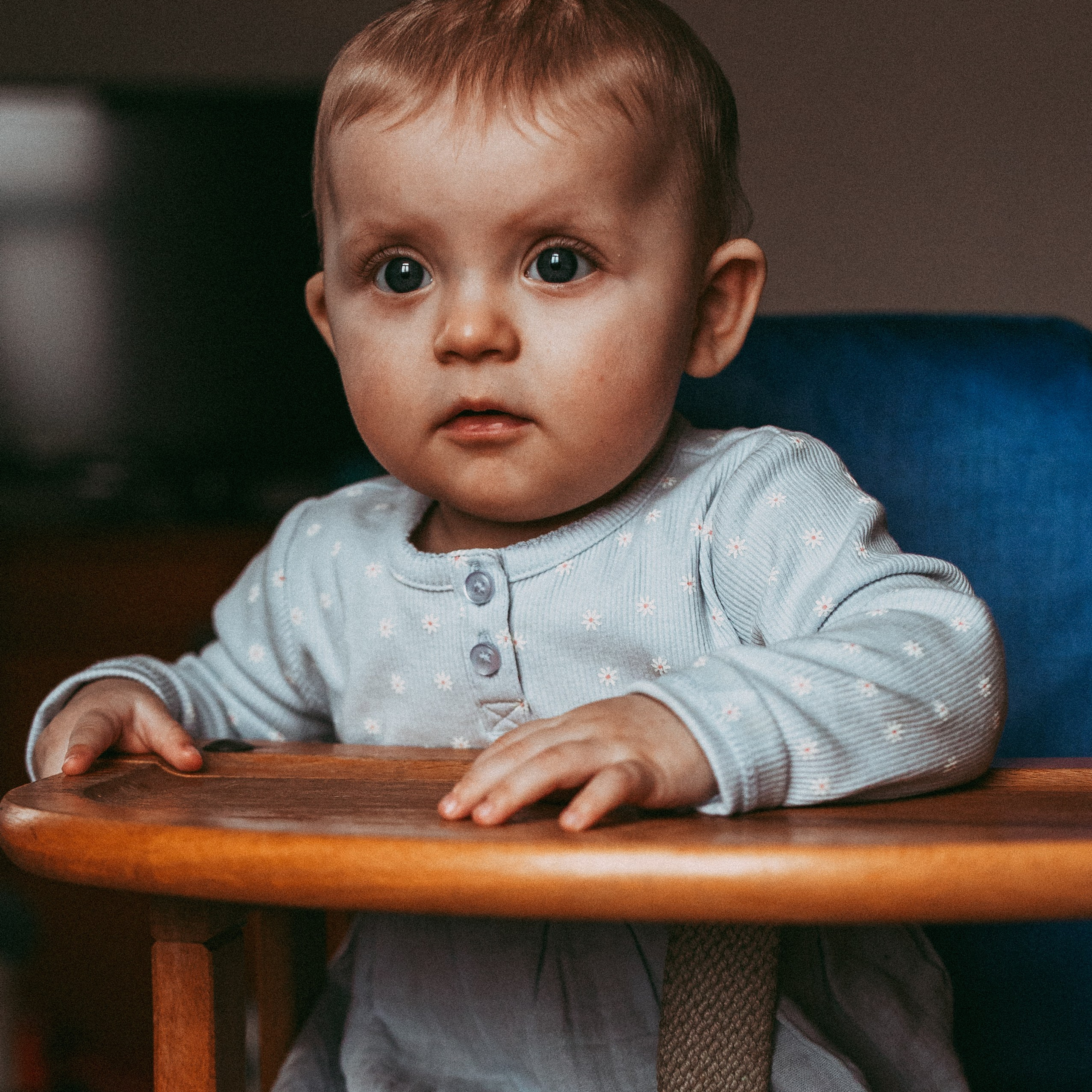 Софія. Наталя Твердохліб - дитячий та сімейний фотограф в Дрездені, Німеччина