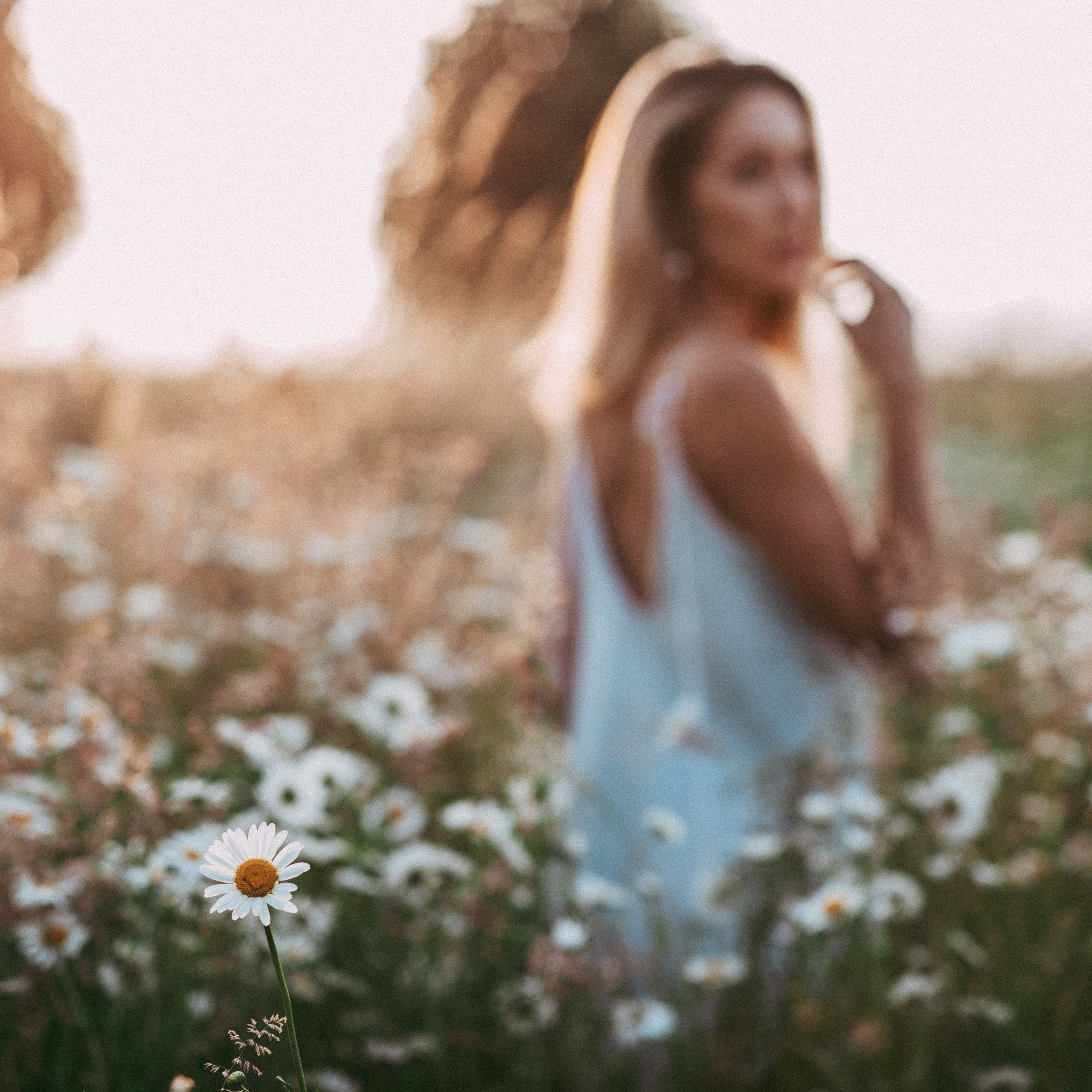 Ромашки. Наталя Твердохліб - дитячий та сімейний фотограф в Дрездені, Німеччина