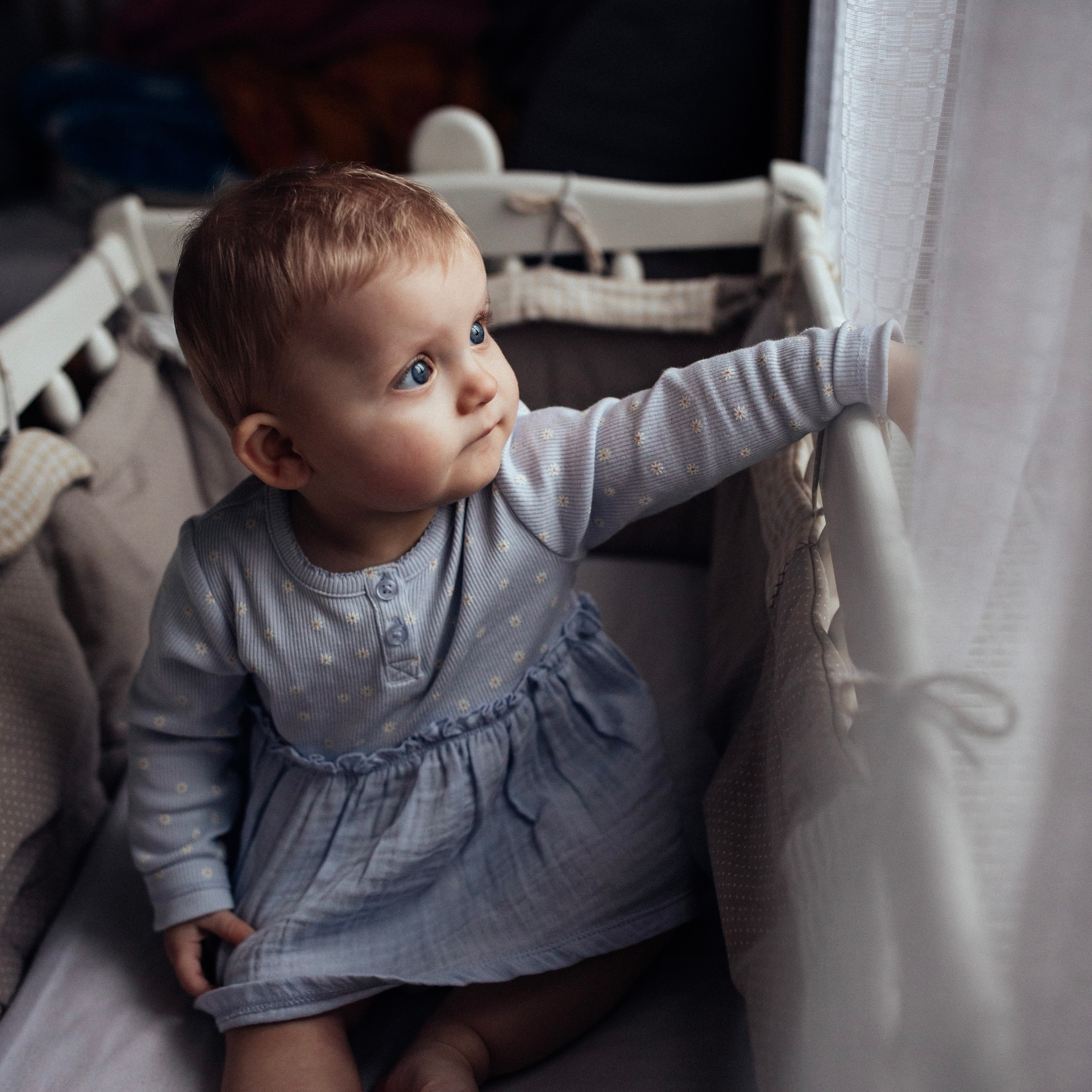 Софія. Наталя Твердохліб - дитячий та сімейний фотограф в Дрездені, Німеччина