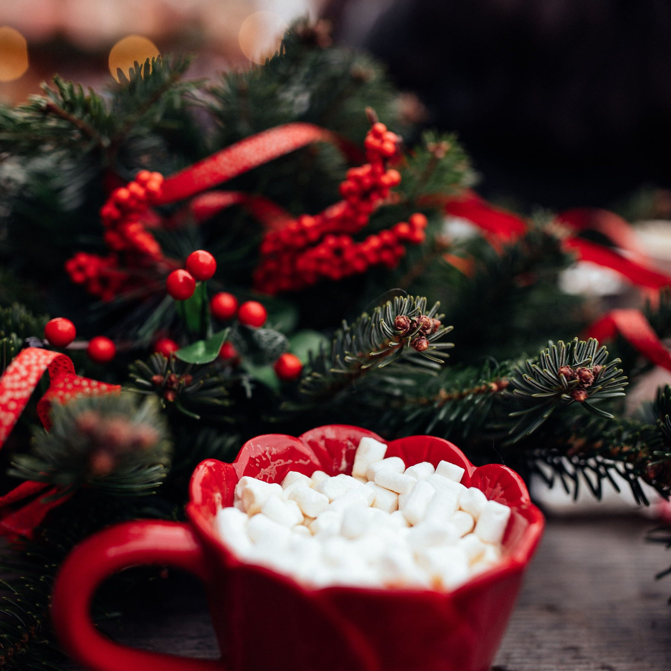 Дрезден різдвяний ярмарок. Наталя Твердохліб - дитячий та сімейний фотограф в Дрездені, Німеччина